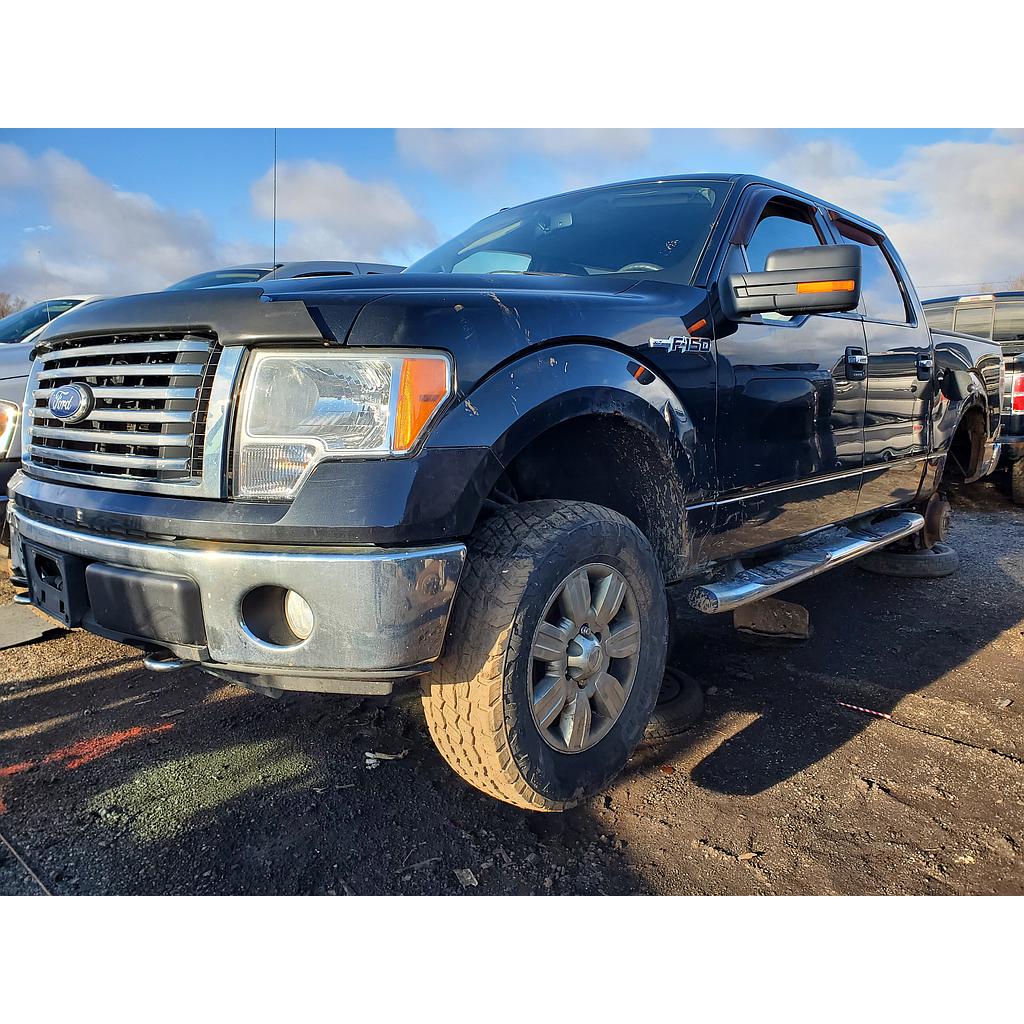 FORD F-150 2010