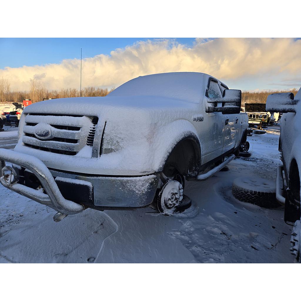 FORD F-150 2010