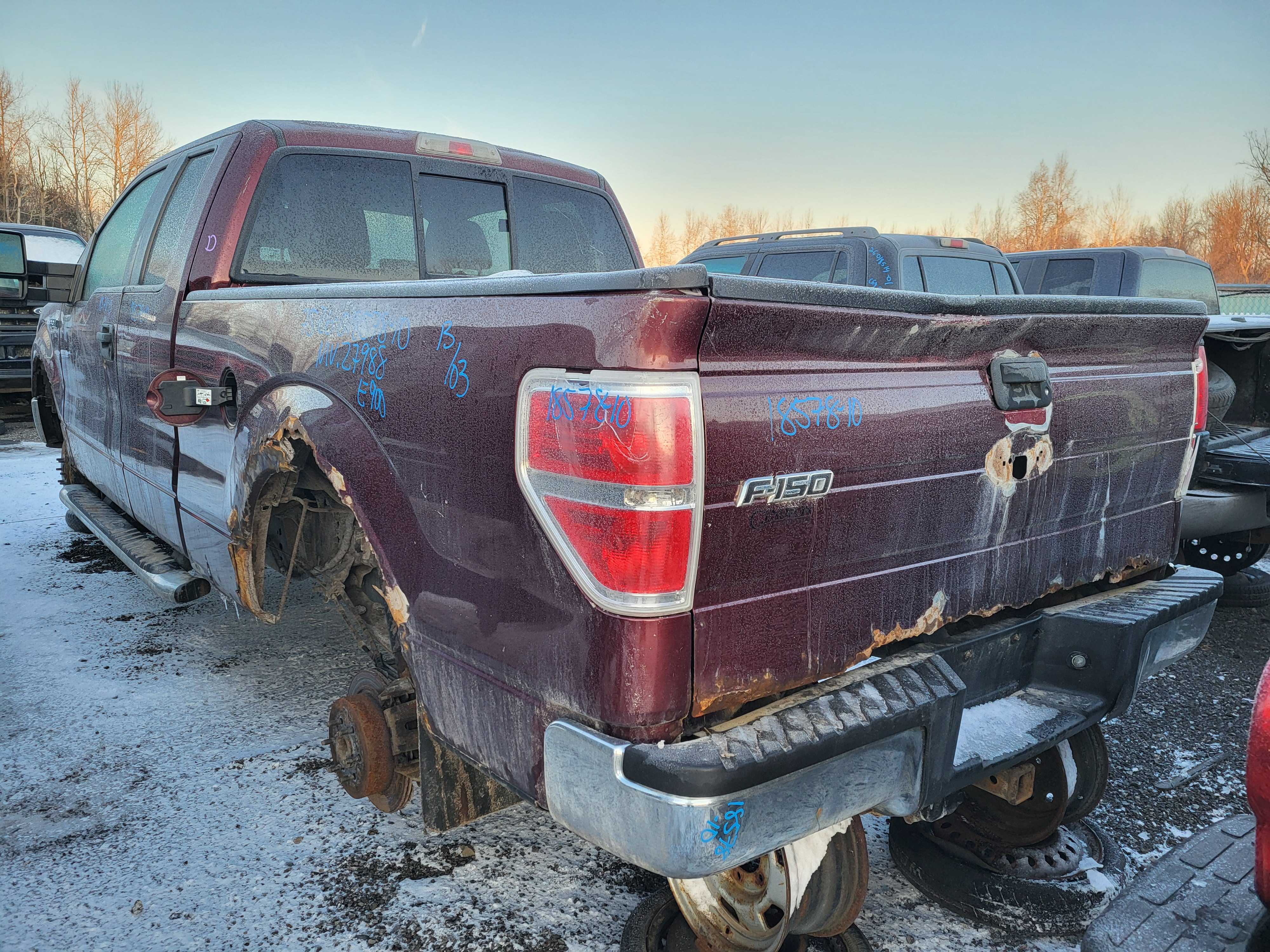 FORD F-150 2010