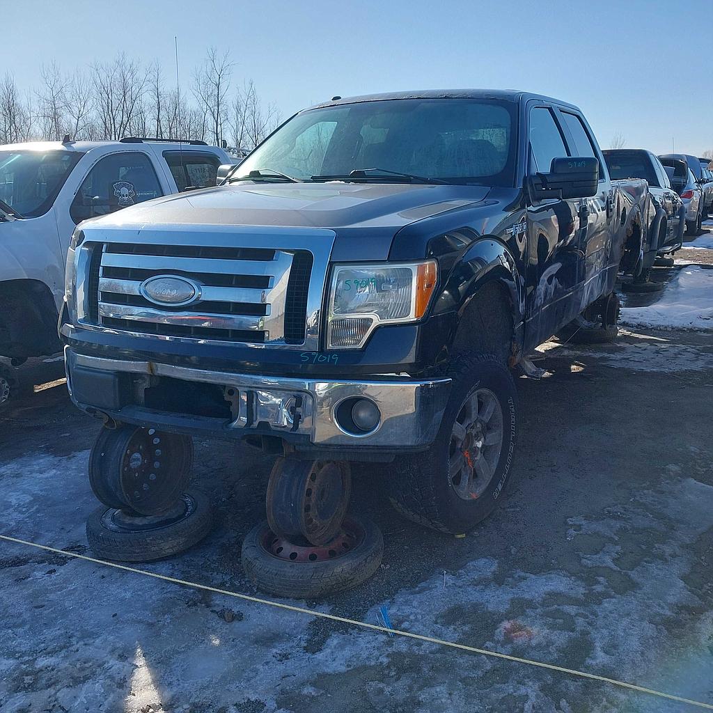 FORD F-150 2010