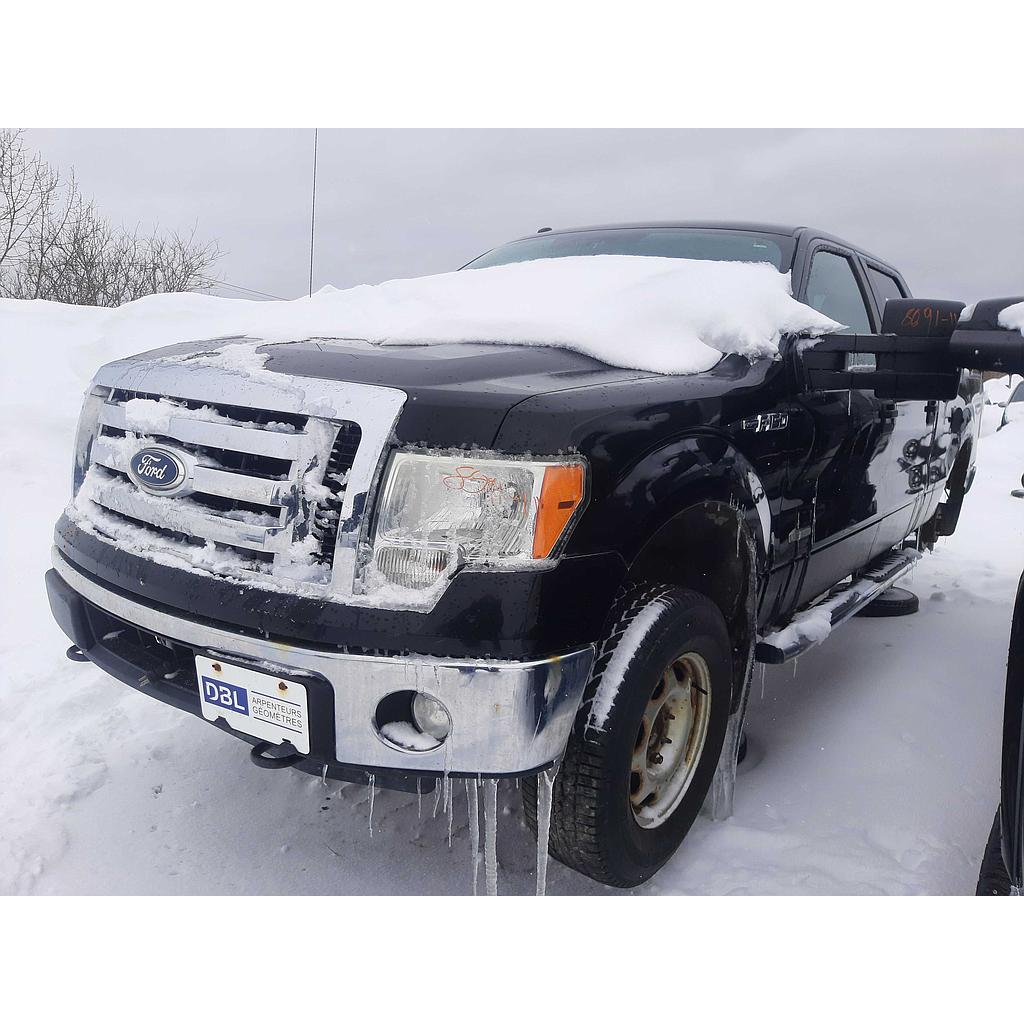 FORD F-150 2011