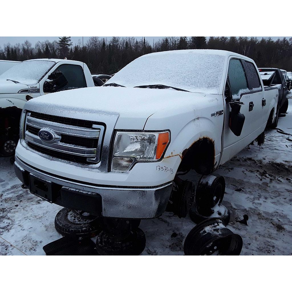 FORD F-150 2013