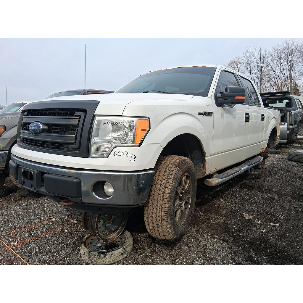 FORD F-150 2013