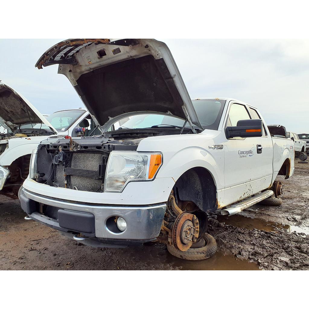 FORD F-150 2014