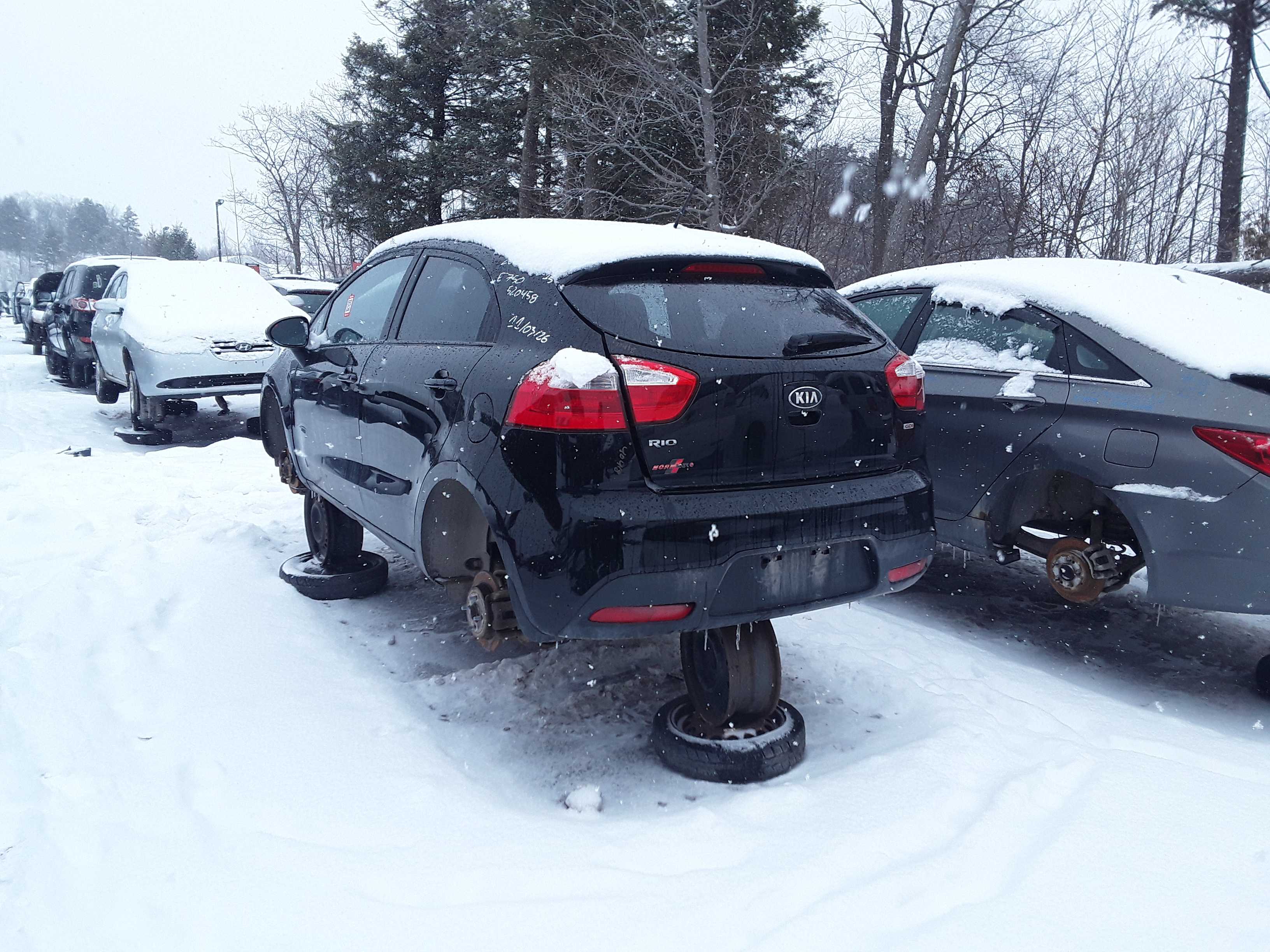 KIA RIO 2015