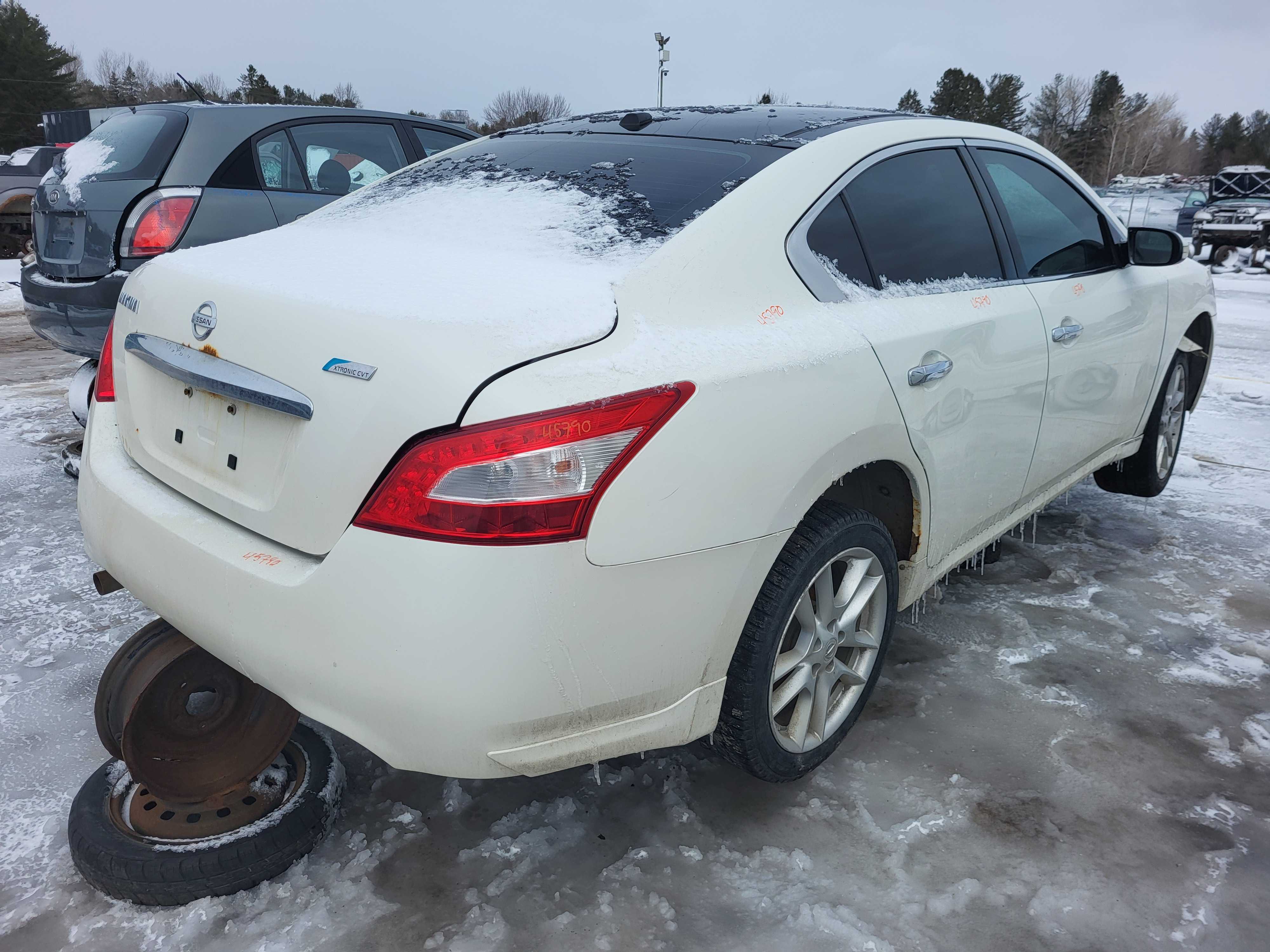 NISSAN MAXIMA 2011