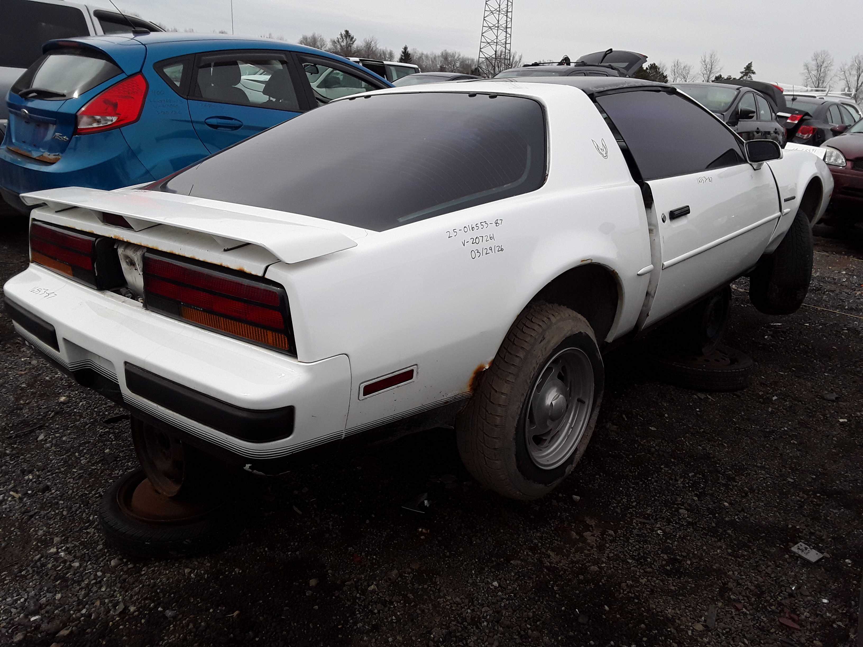 PONTIAC FIREBIRD 1987