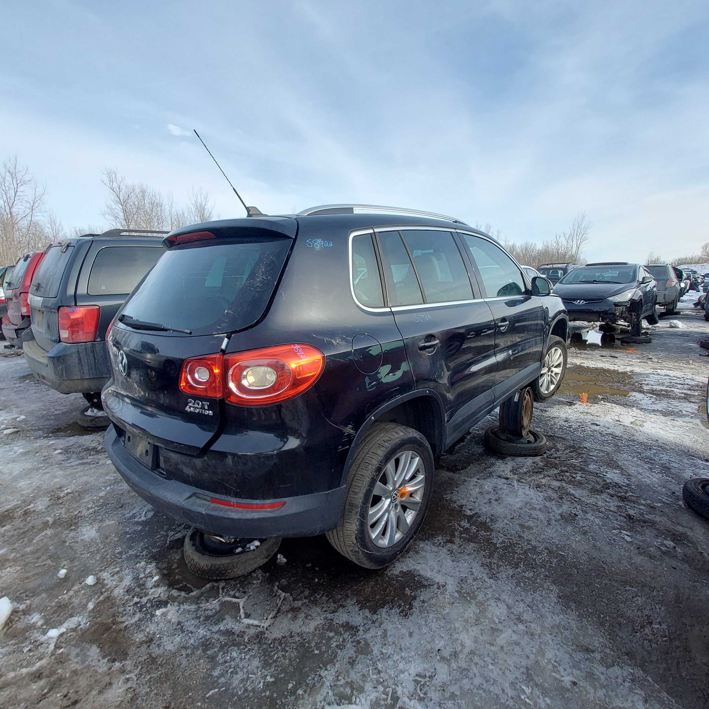 VOLKSWAGEN TIGUAN 2010