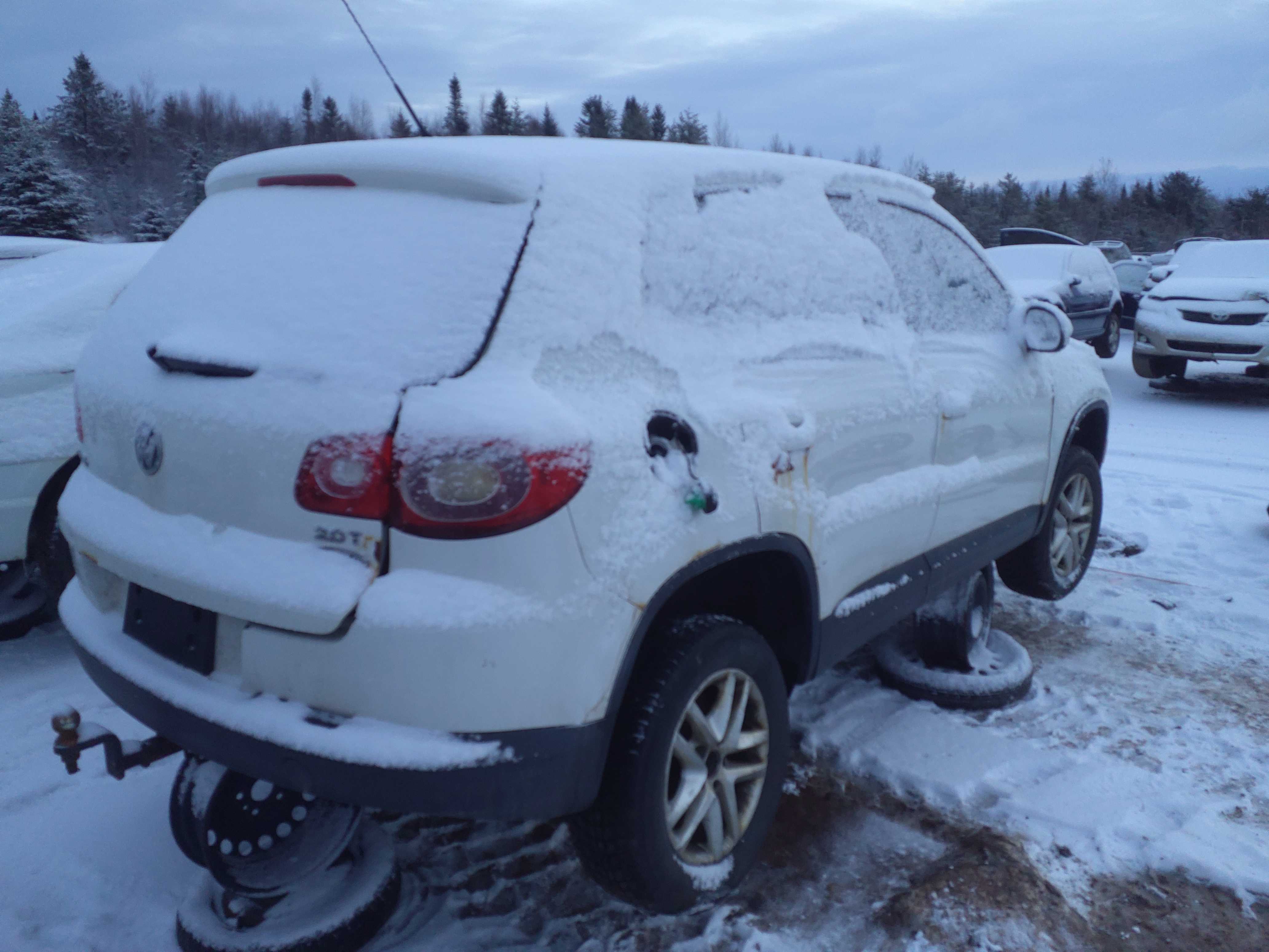 VOLKSWAGEN TIGUAN 2010