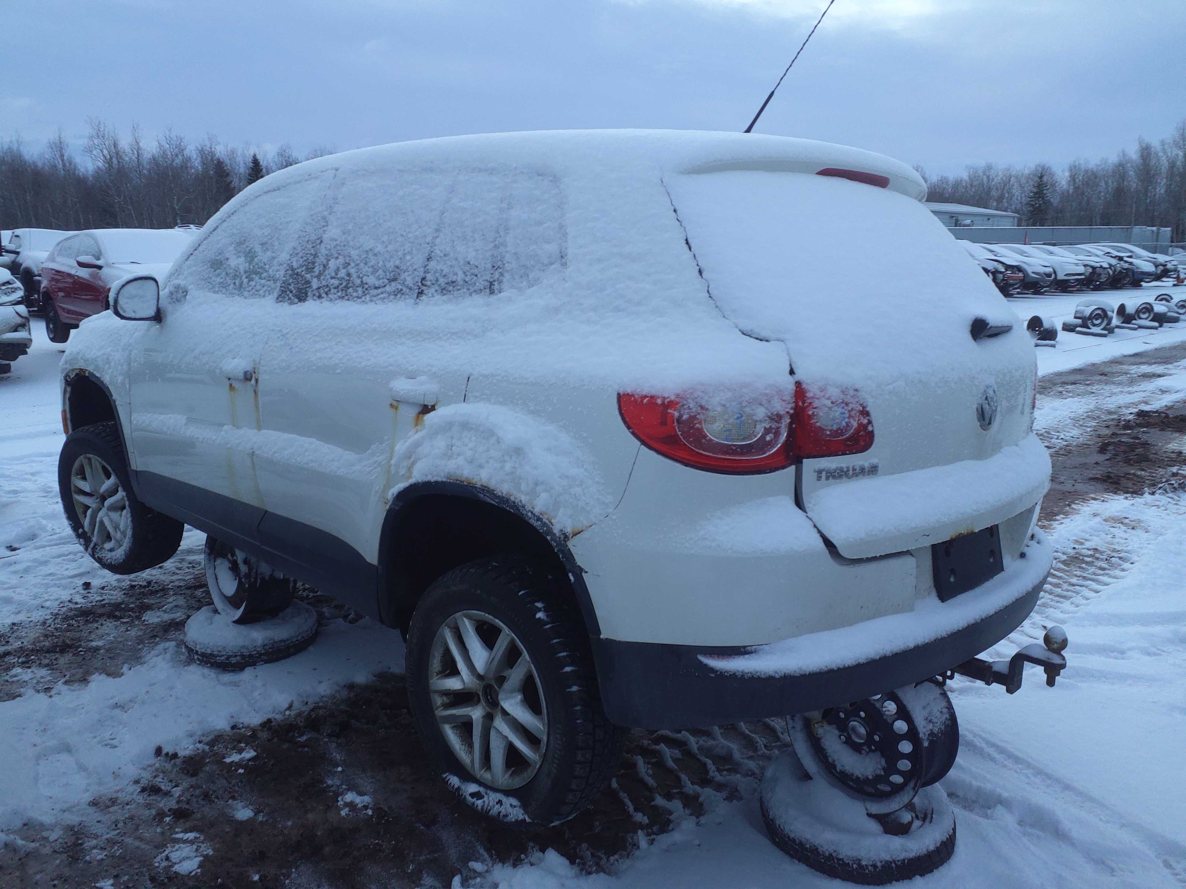 VOLKSWAGEN TIGUAN 2010