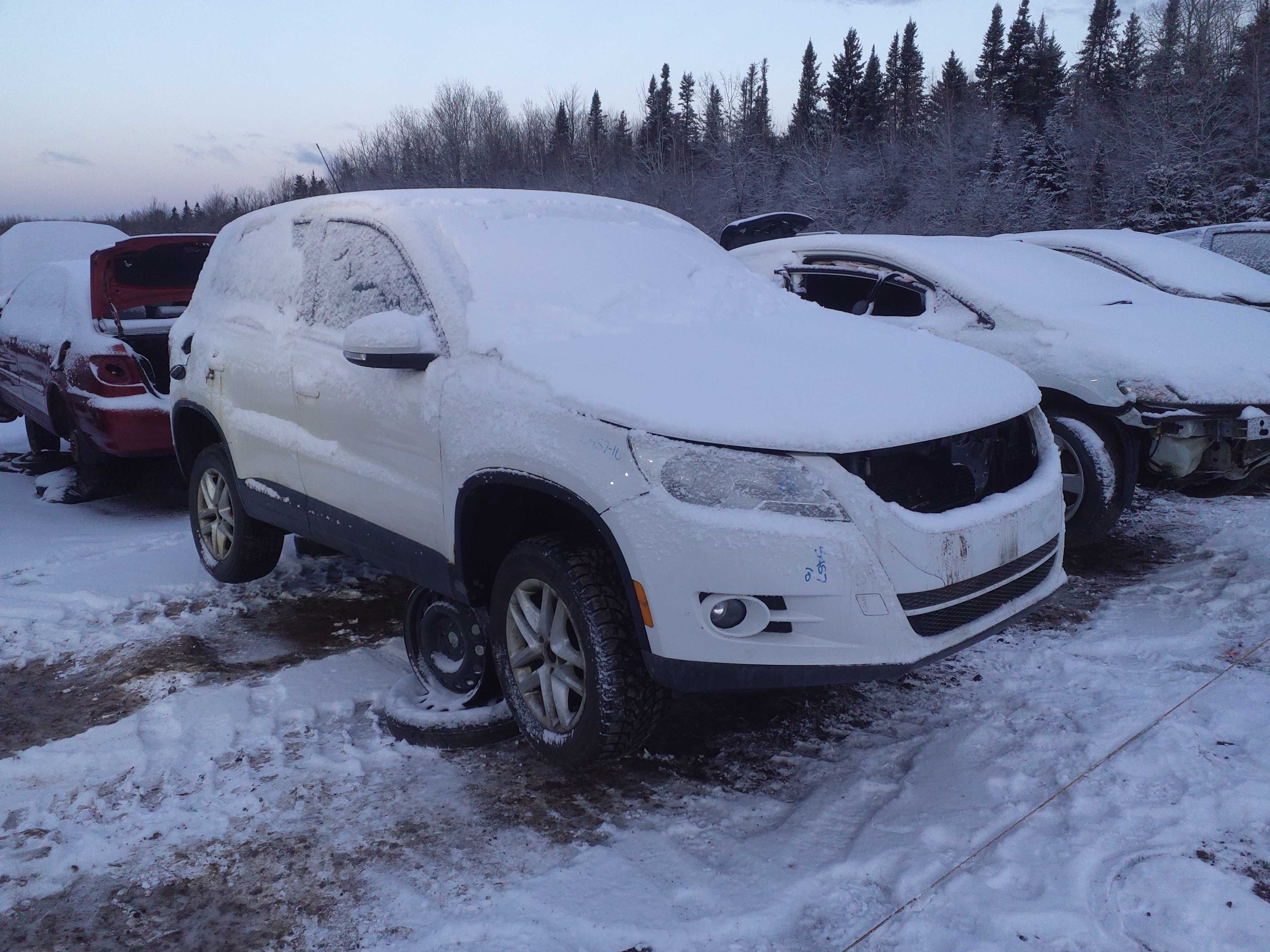 VOLKSWAGEN TIGUAN 2010