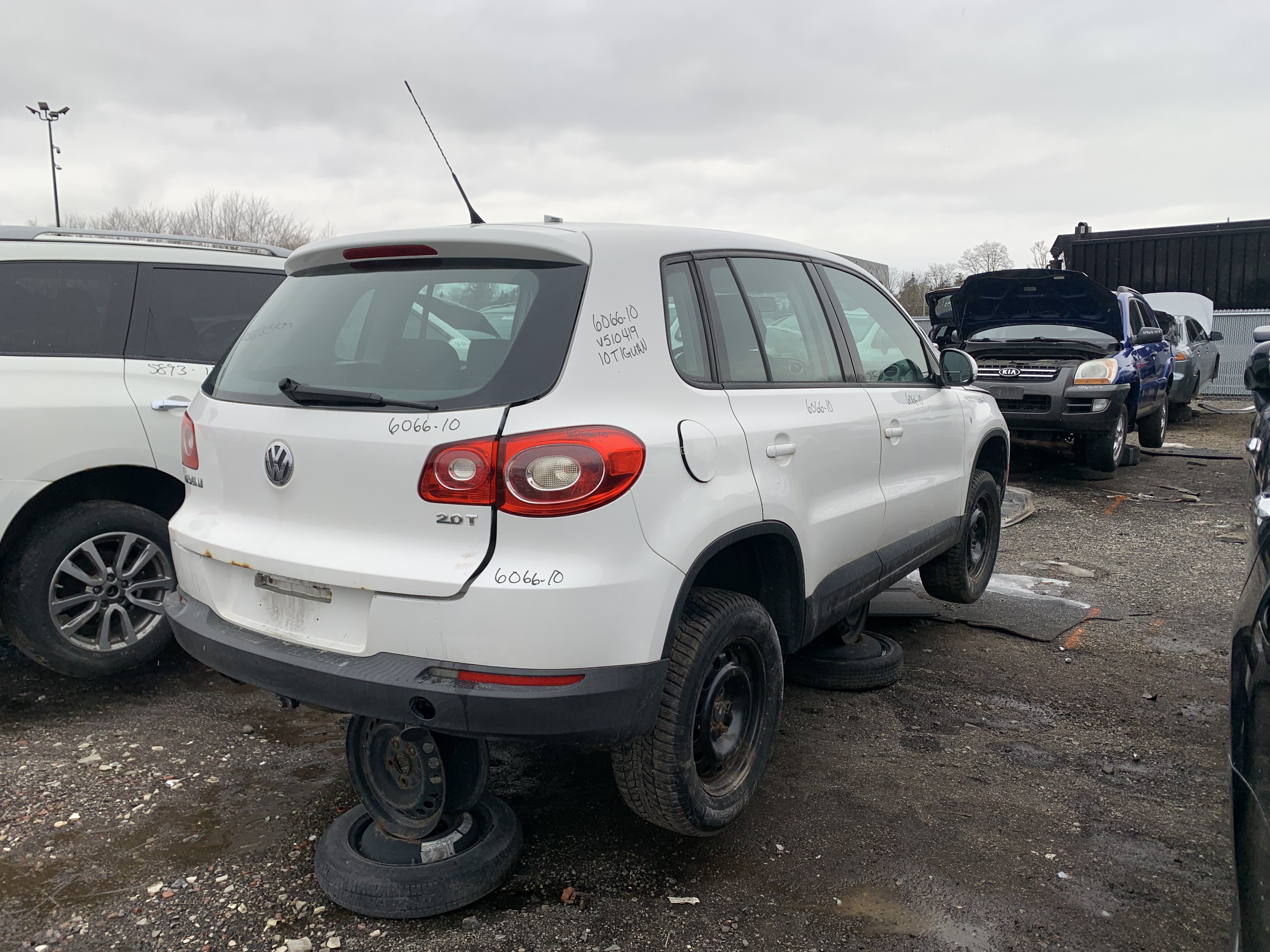 VOLKSWAGEN TIGUAN 2010