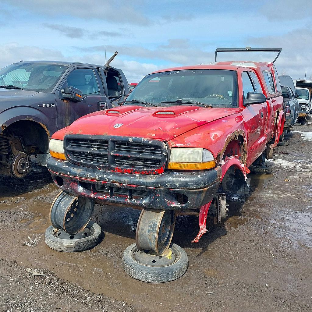 DODGE DAKOTA 1999