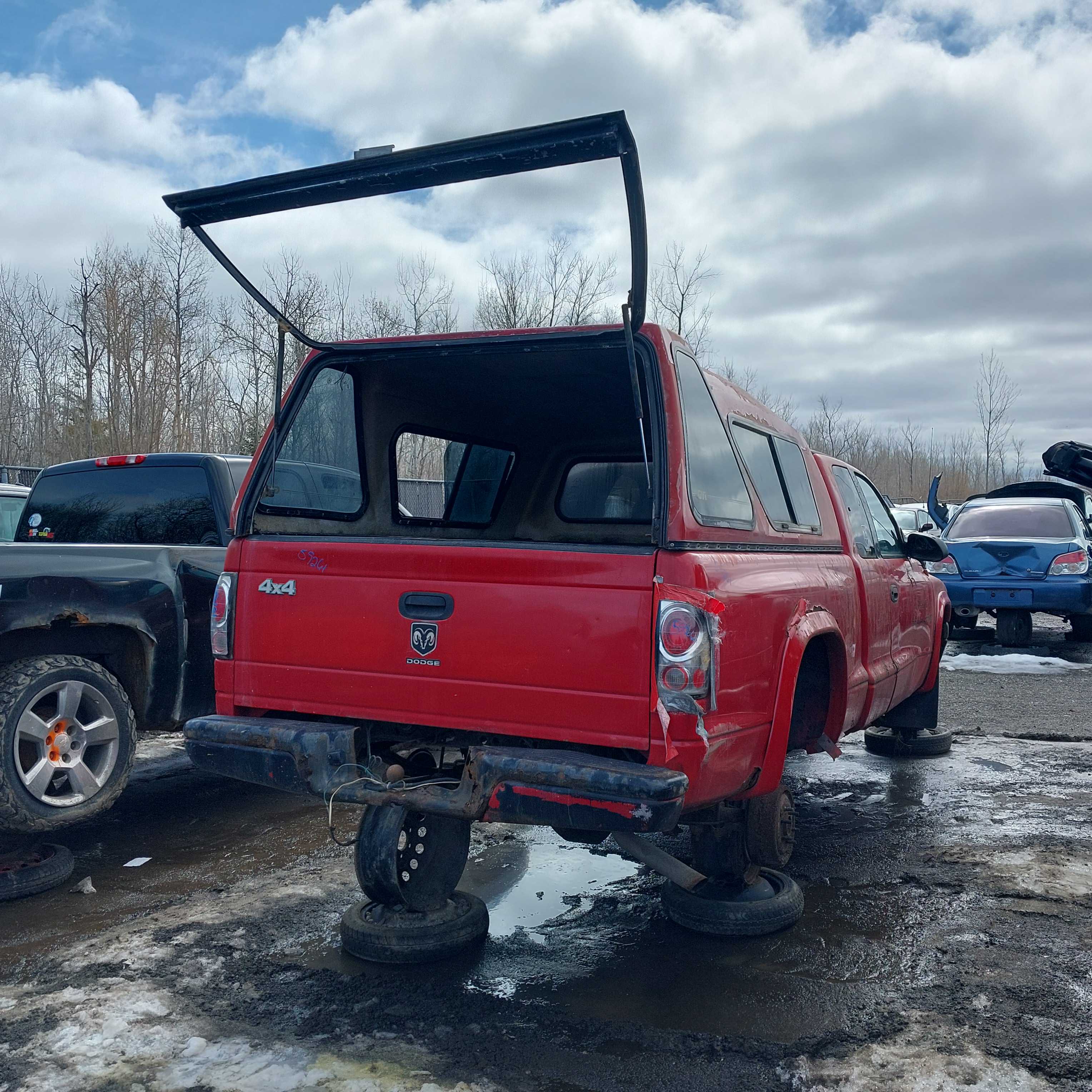 DODGE DAKOTA 1999