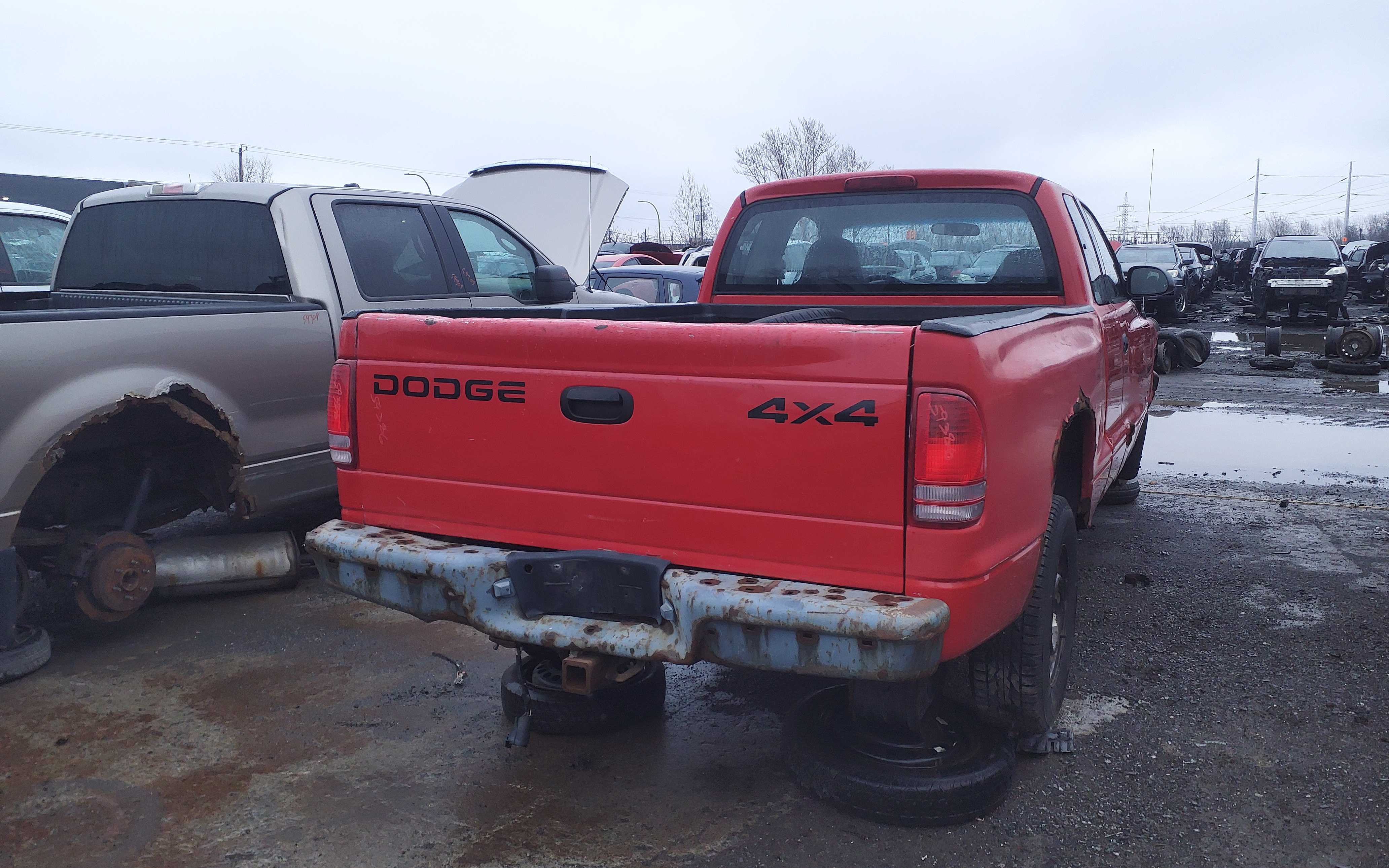 DODGE DAKOTA 2001