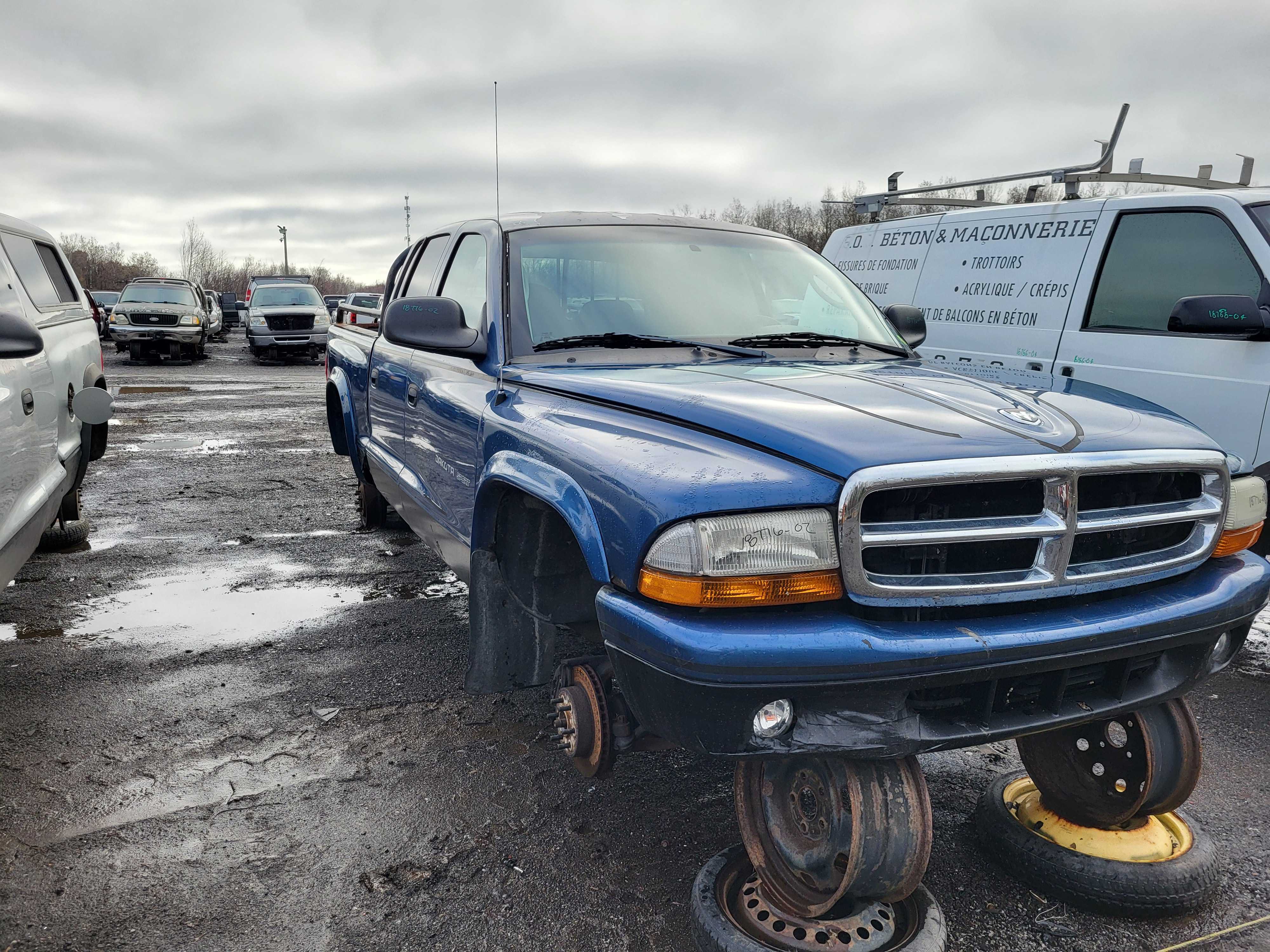 DODGE DAKOTA 2002