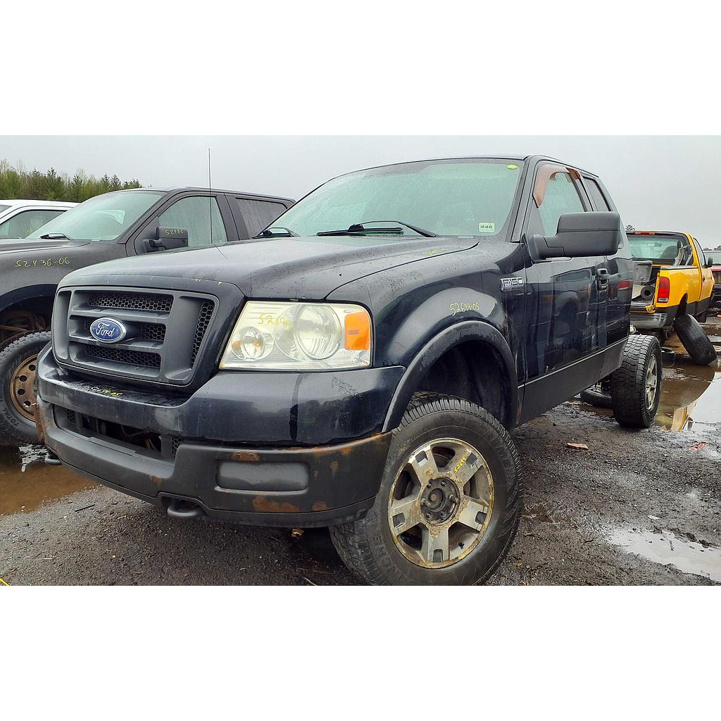 FORD F-150 2005