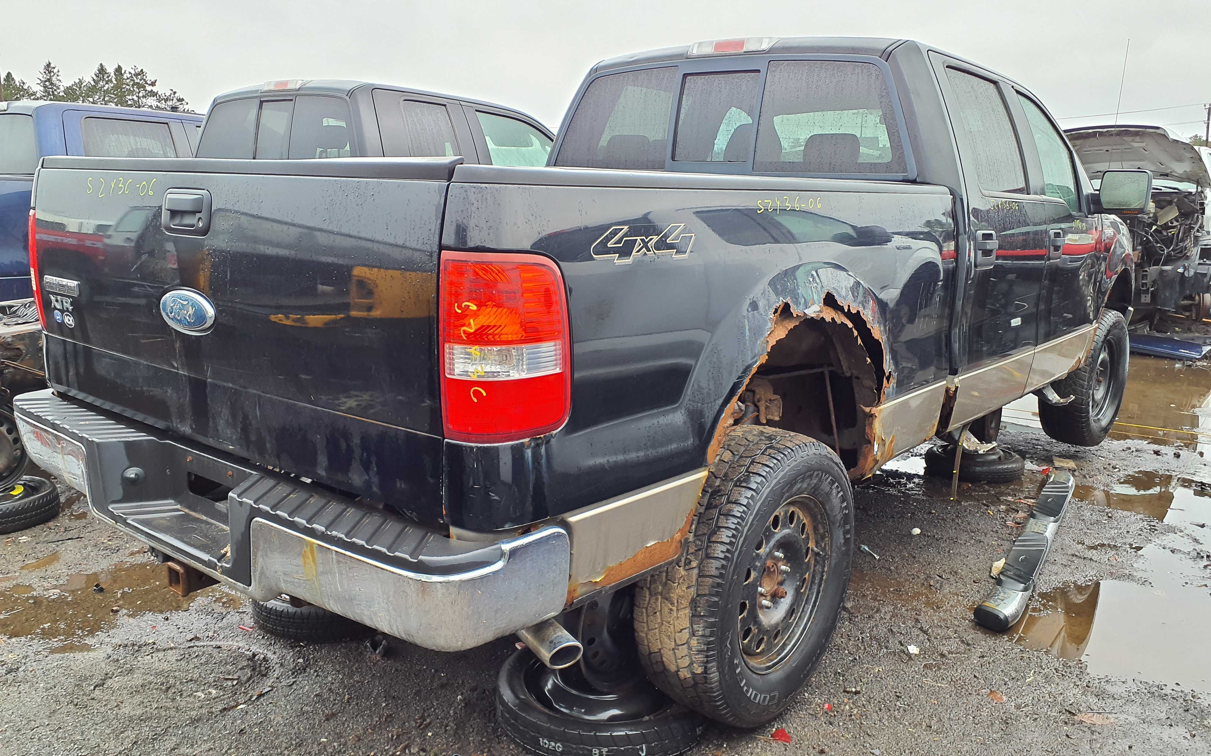 FORD F-150 2006
