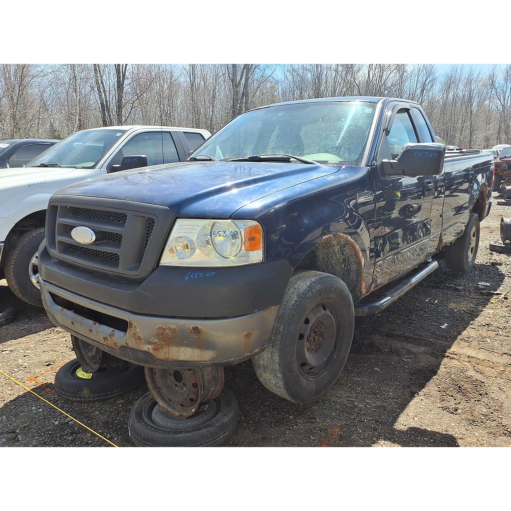 FORD F-150 2007