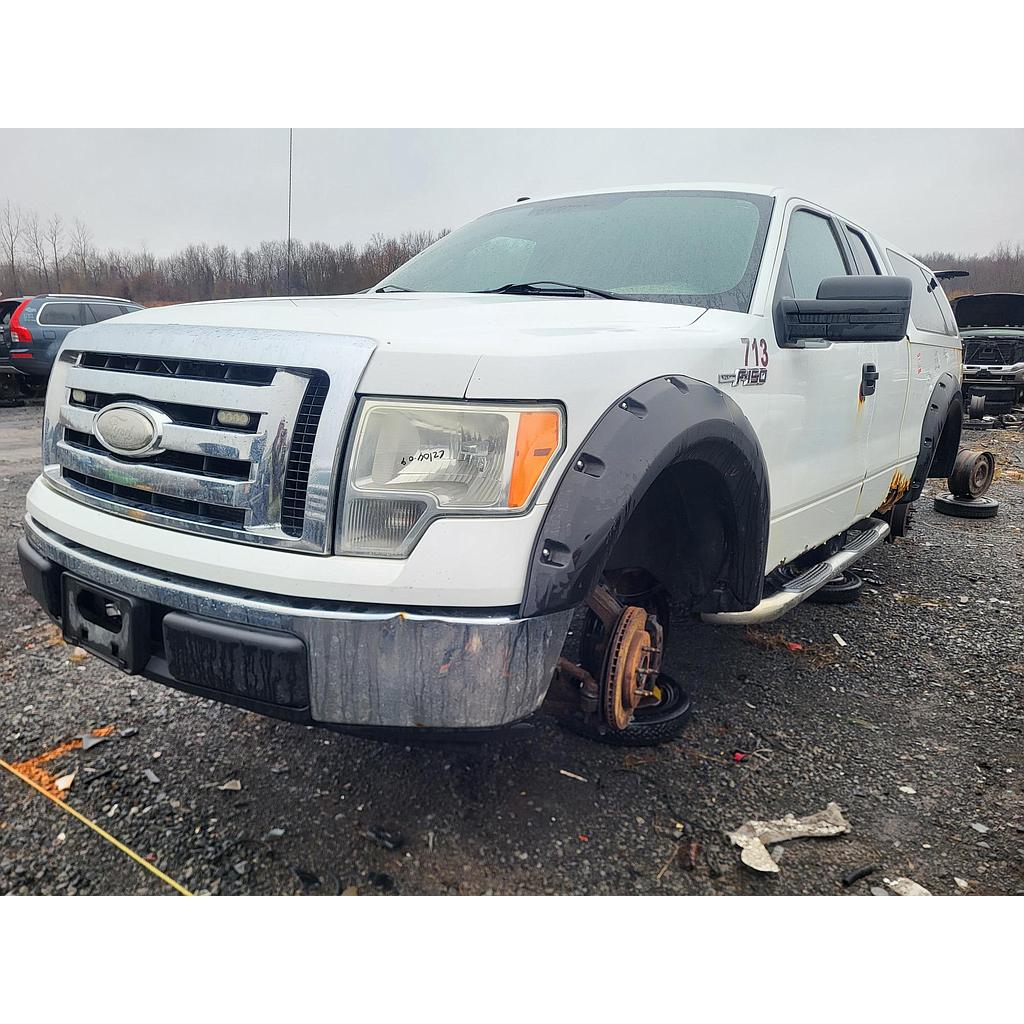 FORD F-150 2009