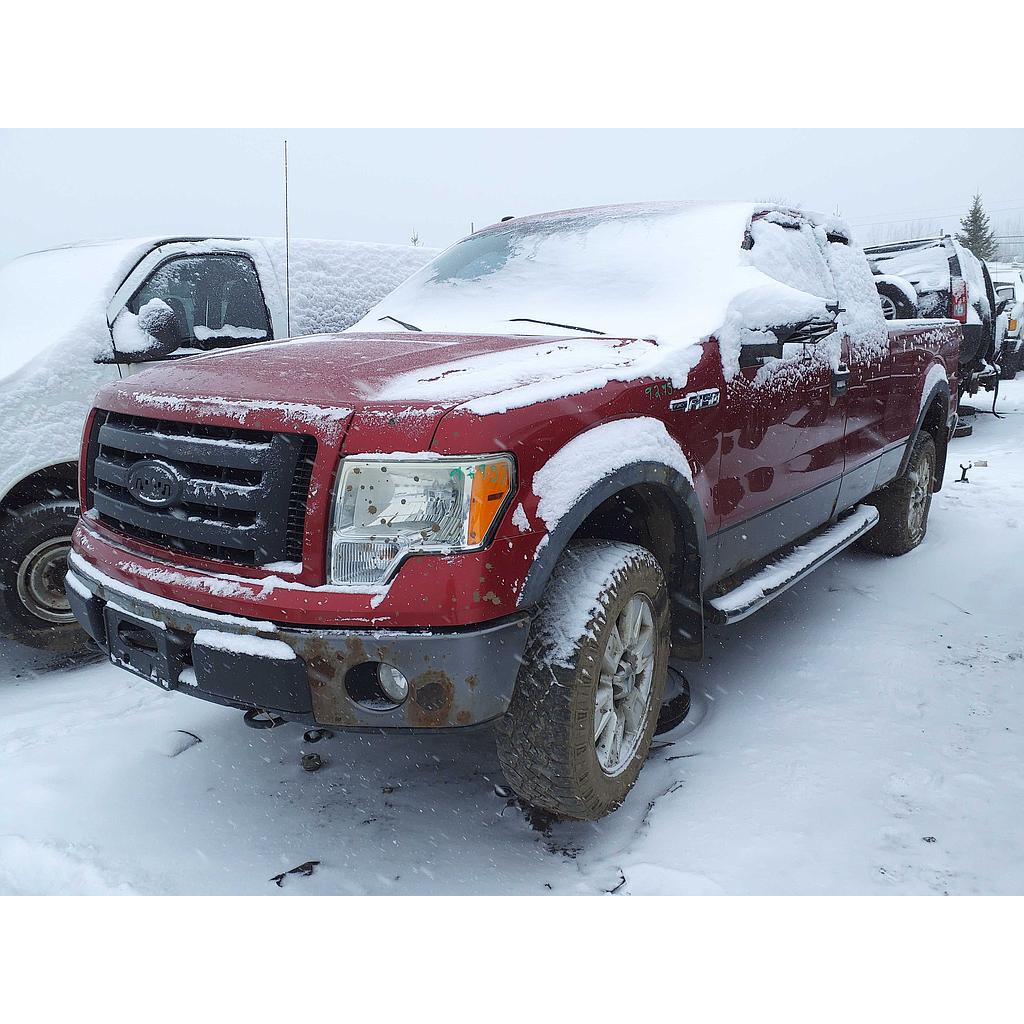 FORD F-150 2009