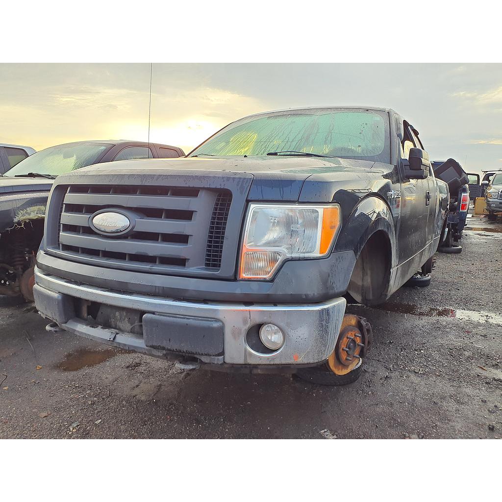 FORD F-150 2009