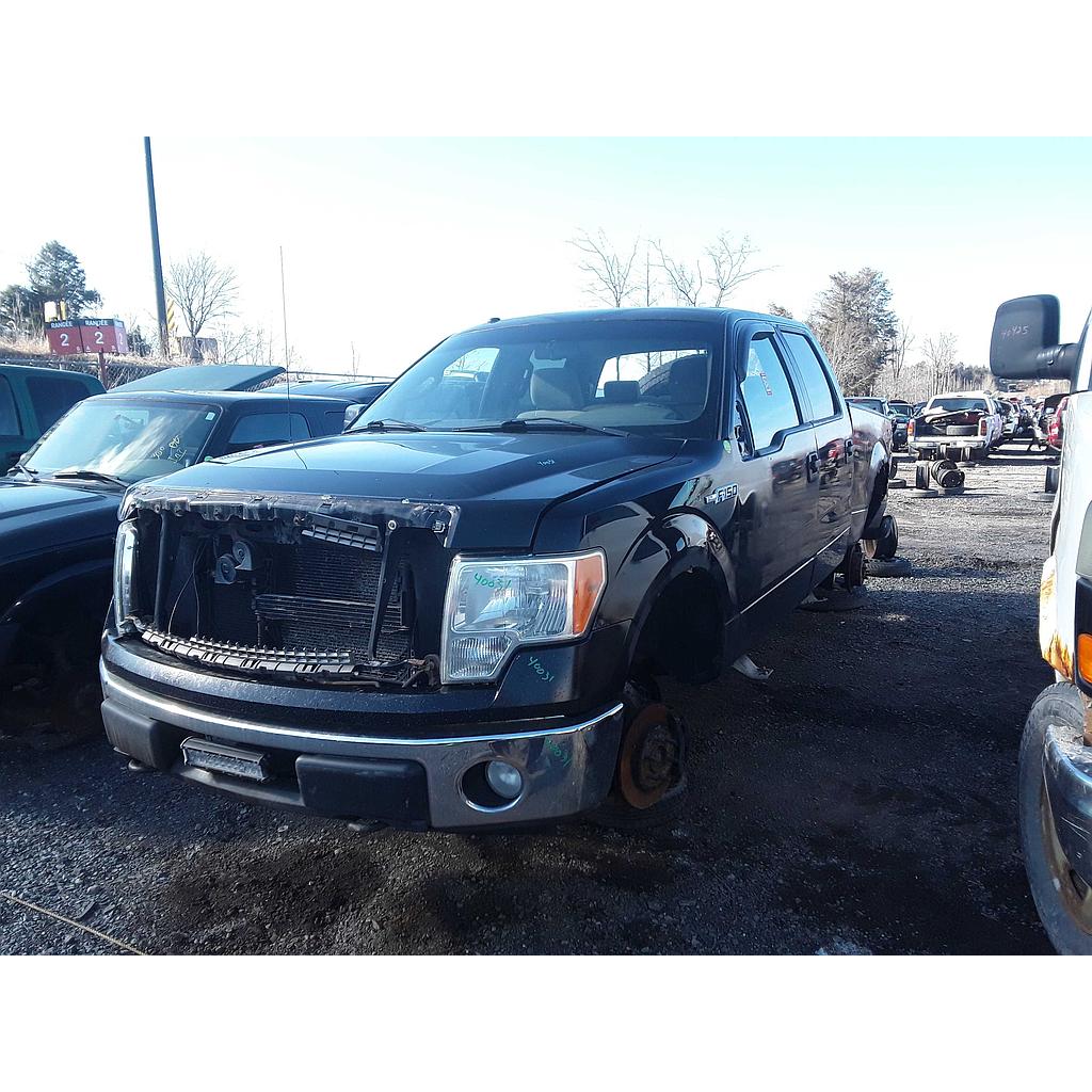 FORD F-150 2009