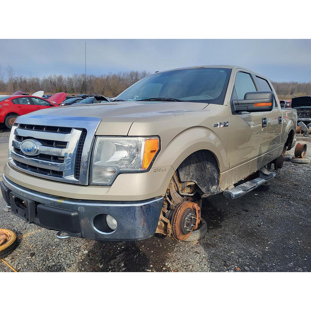 FORD F-150 2009
