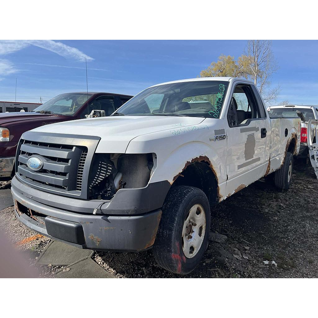 FORD F-150 2009
