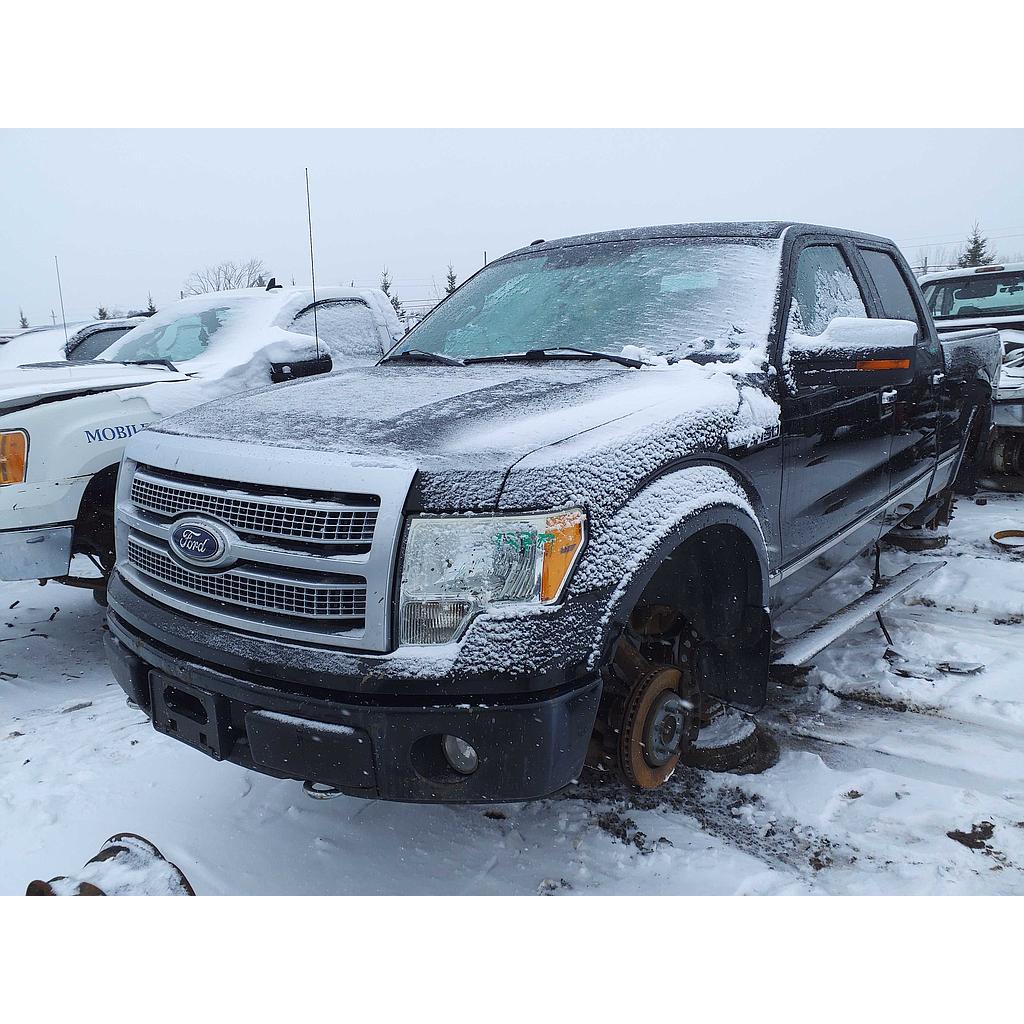 FORD F-150 2010