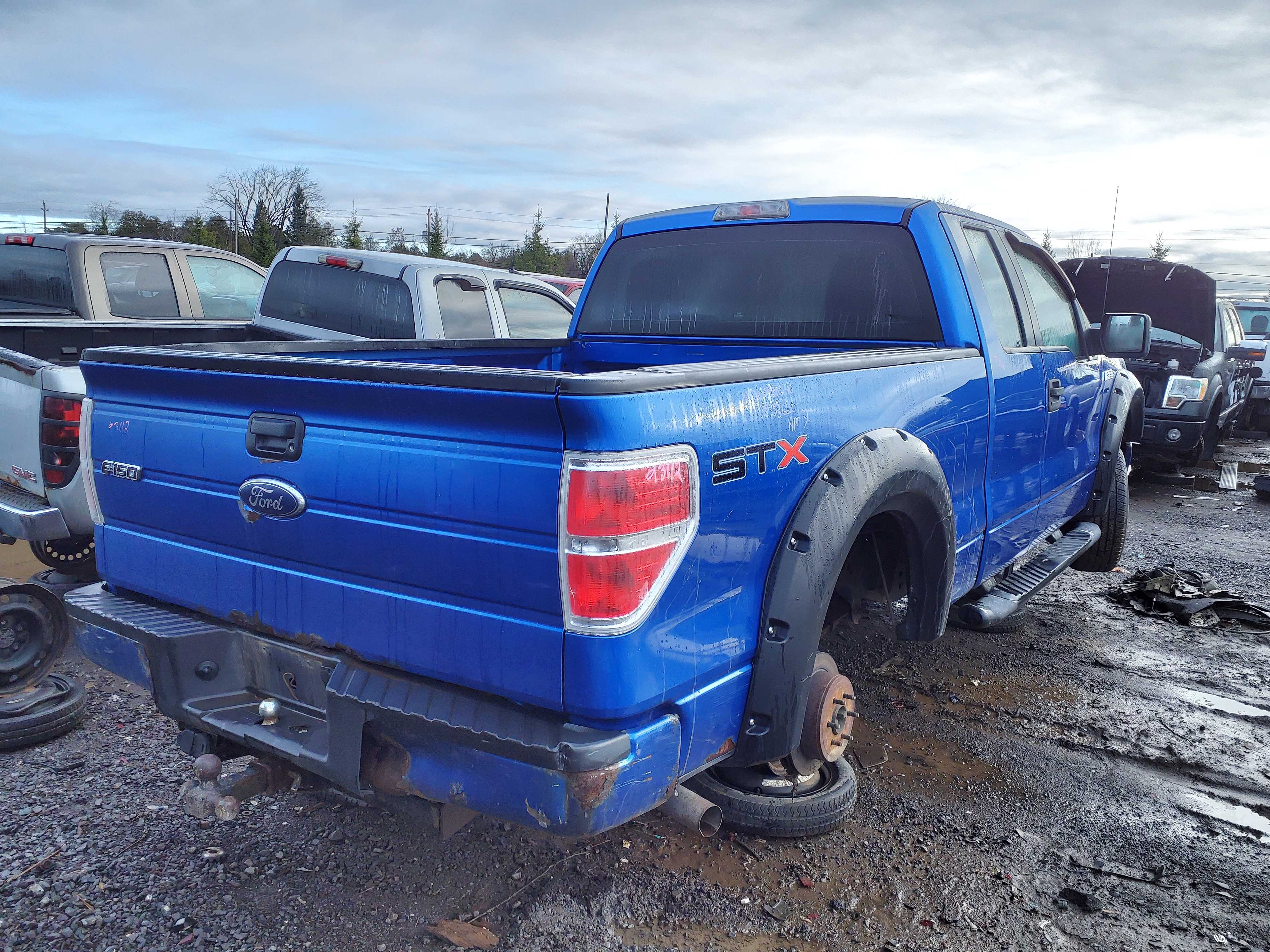 FORD F-150 2010