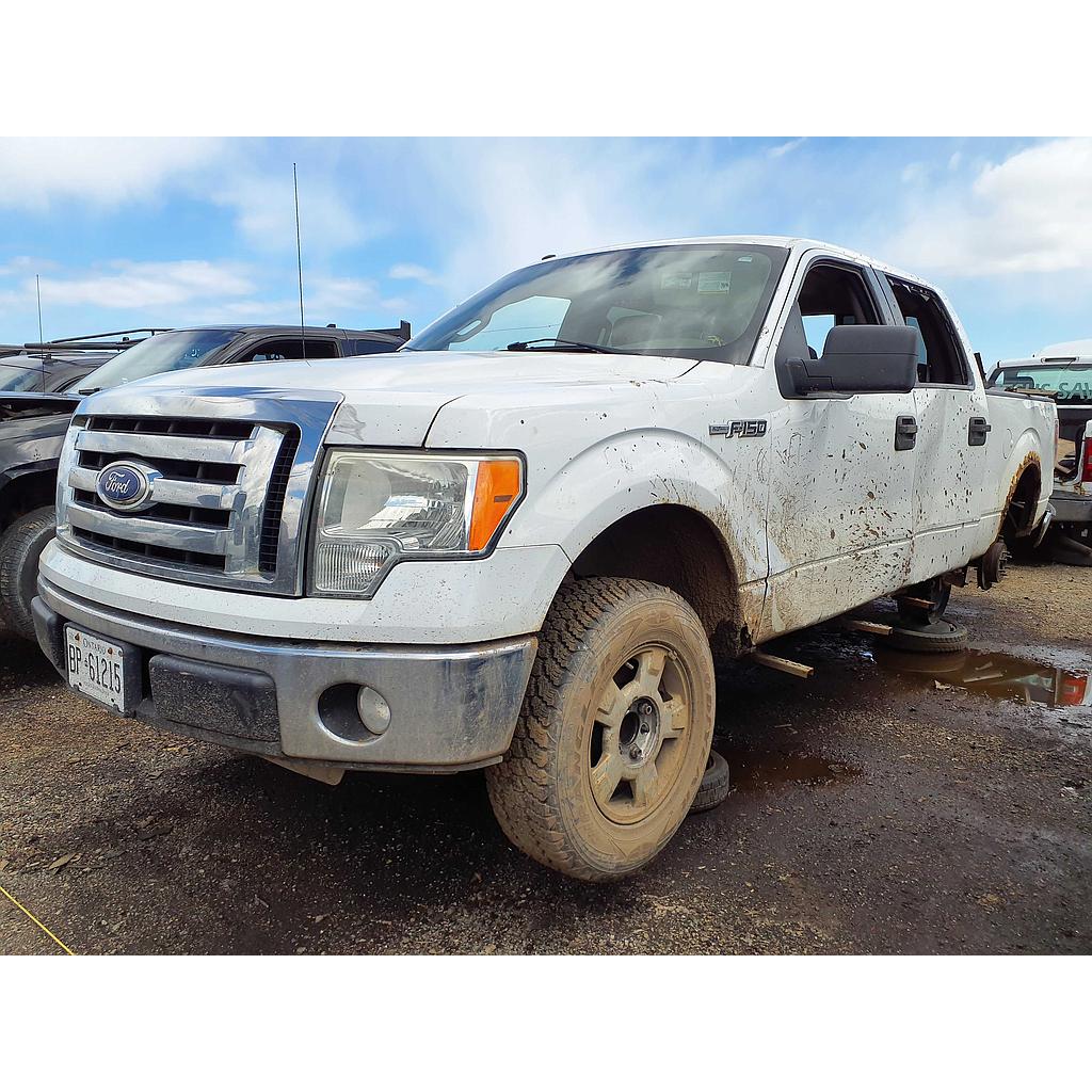 FORD F-150 2010