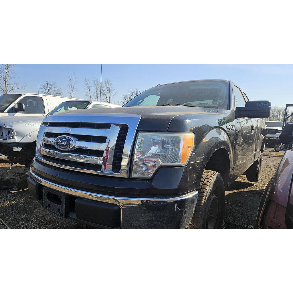 FORD F-150 2010