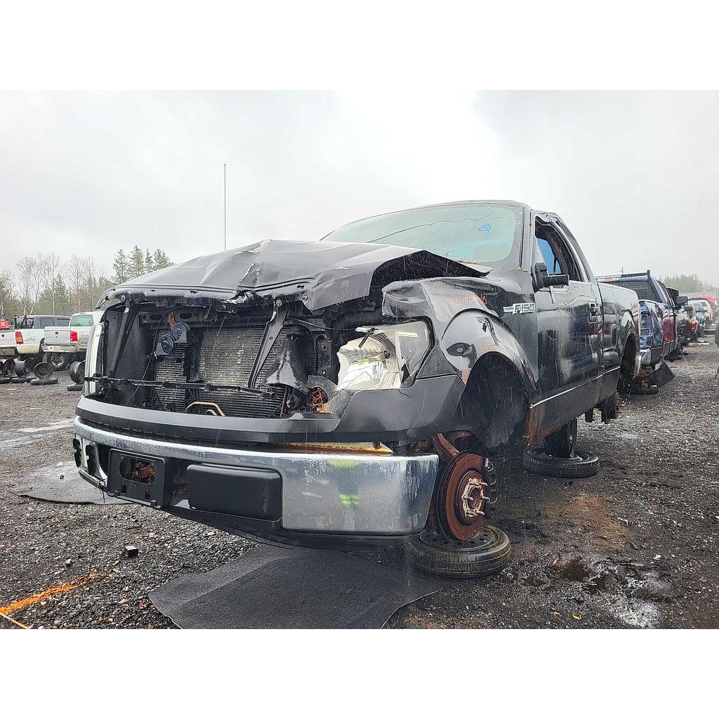 FORD F-150 2010