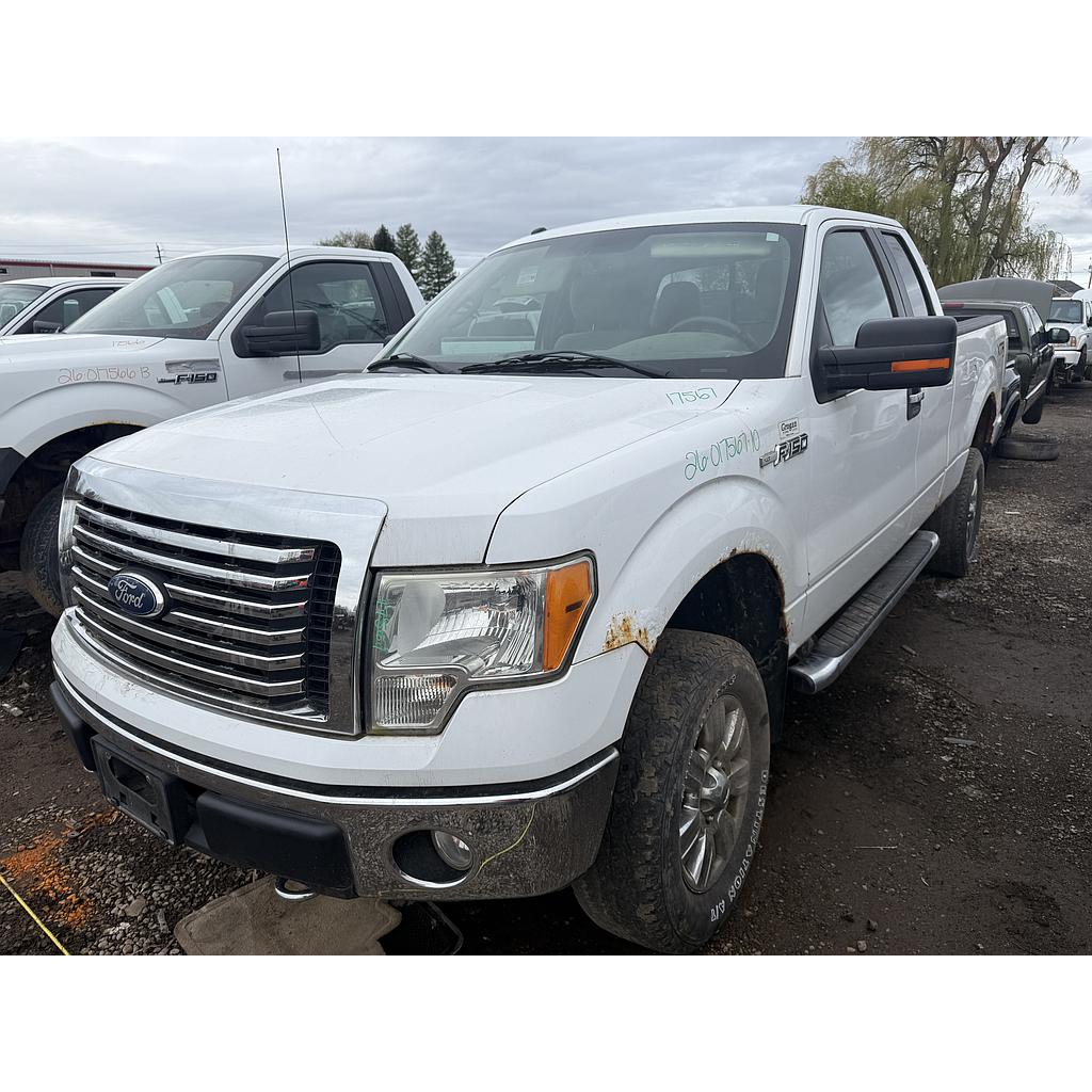 FORD F-150 2010