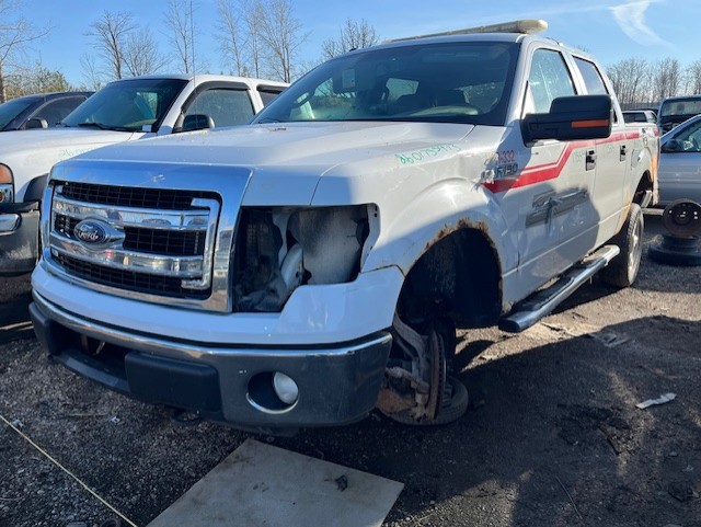 FORD F-150 2013