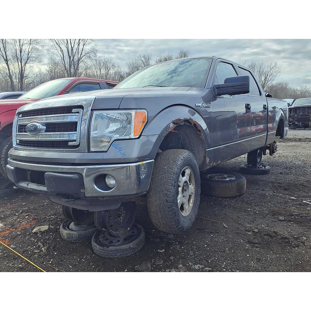 FORD F-150 2014