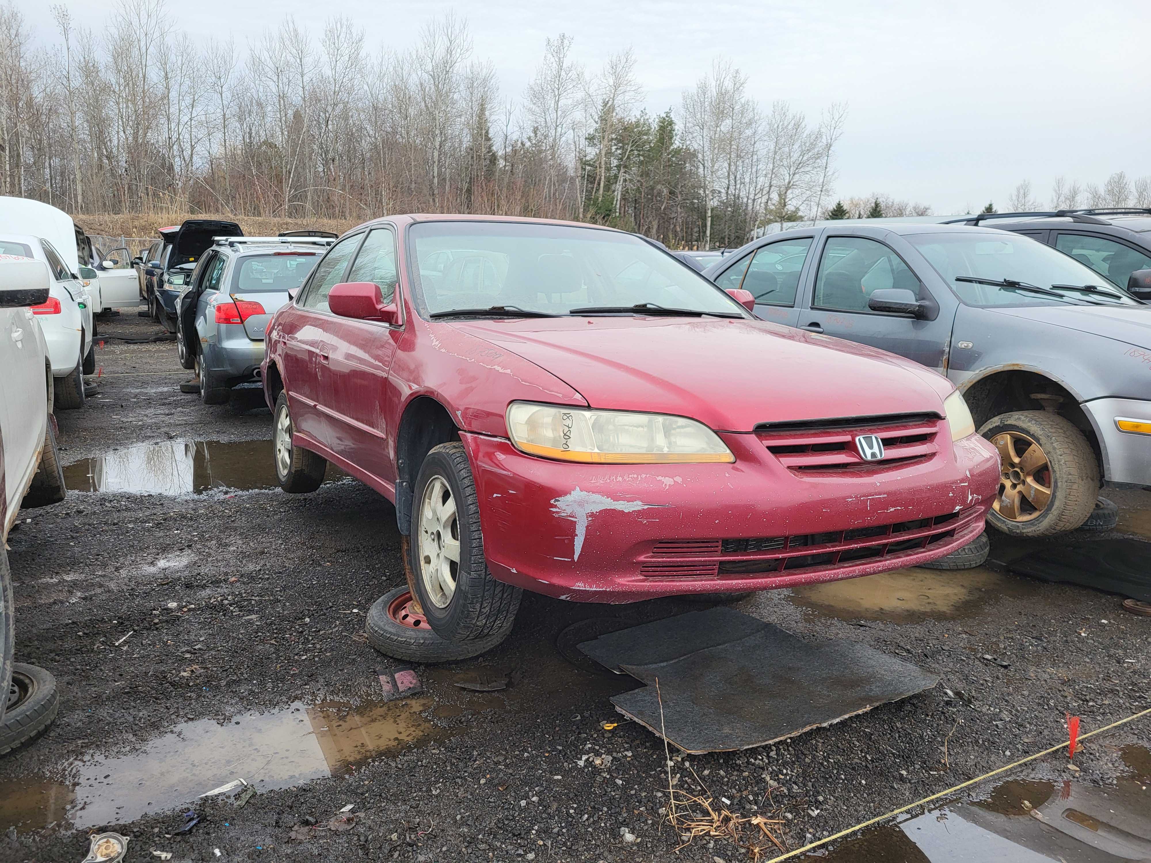 HONDA ACCORD 2001