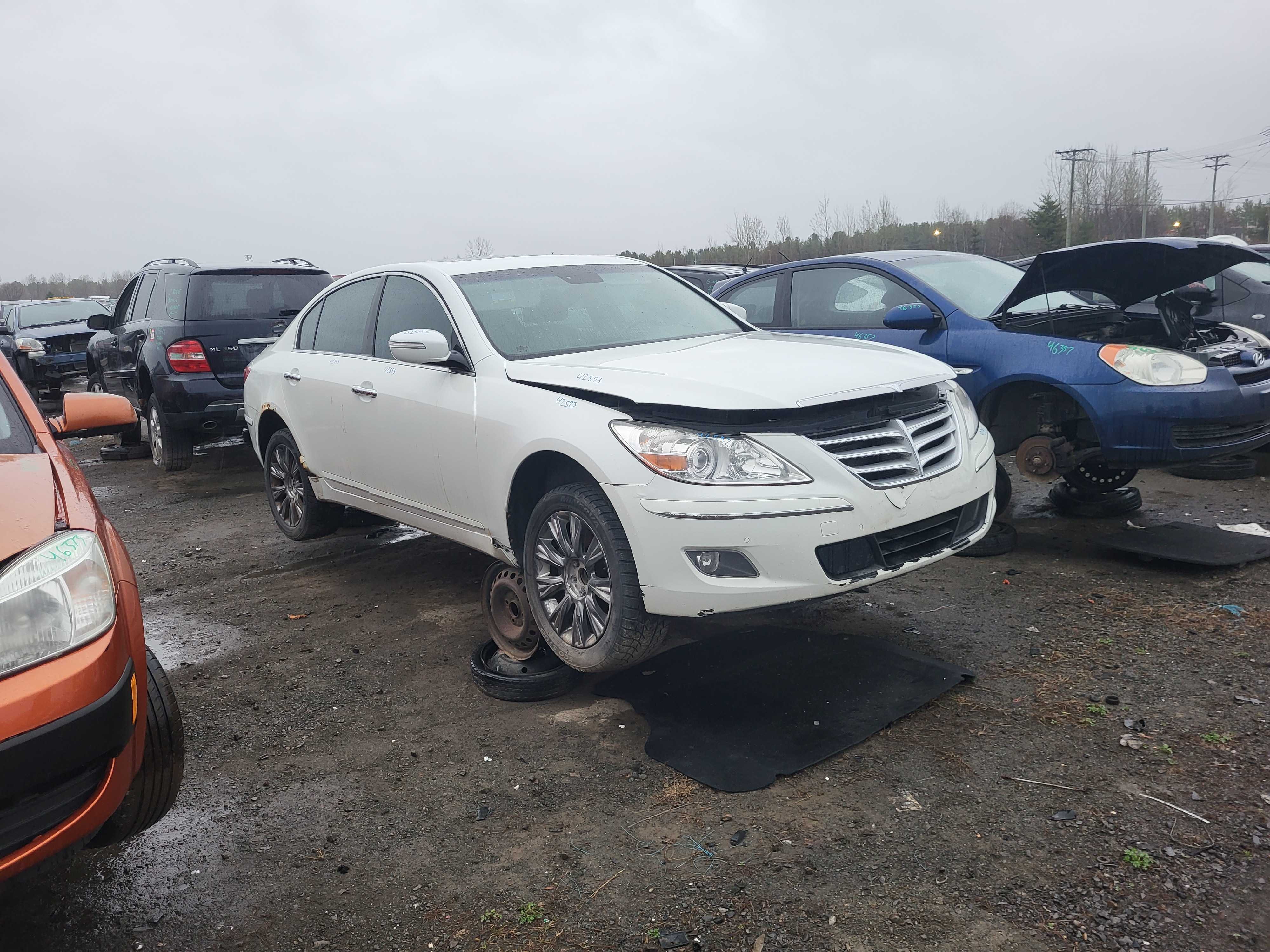 HYUNDAI GENESIS 2010