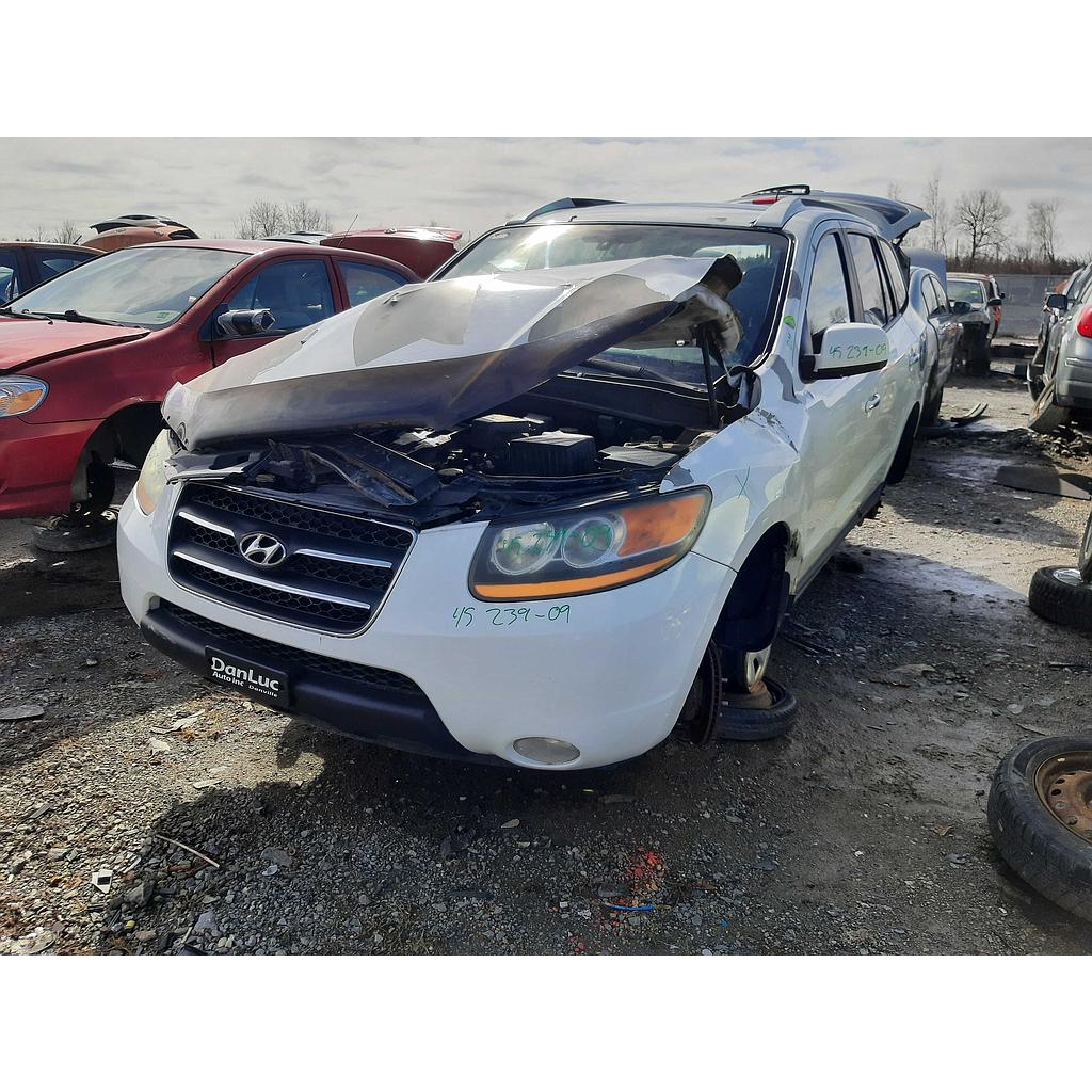 HYUNDAI SANTA FE 2009