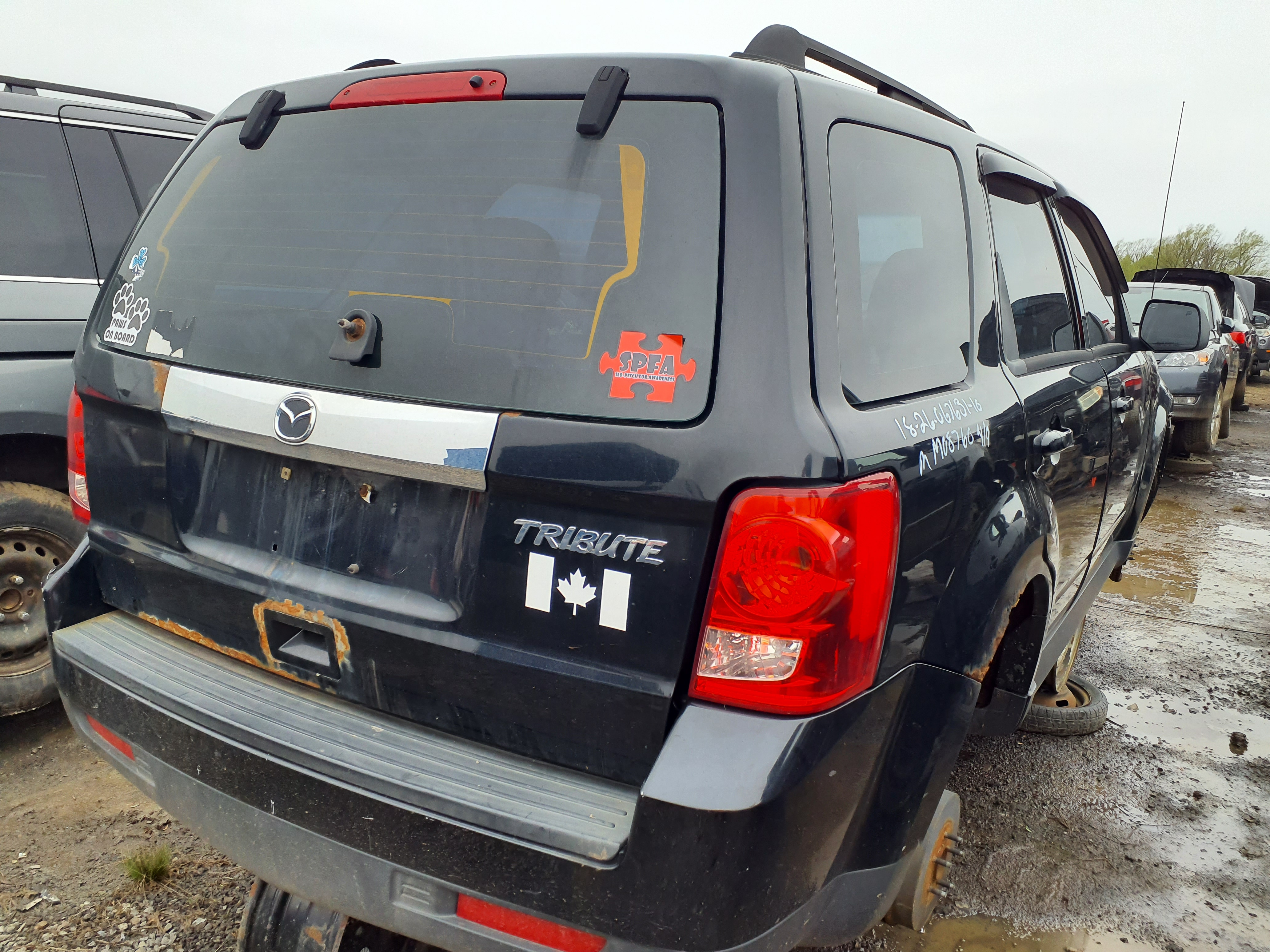 MAZDA TRIBUTE 2010