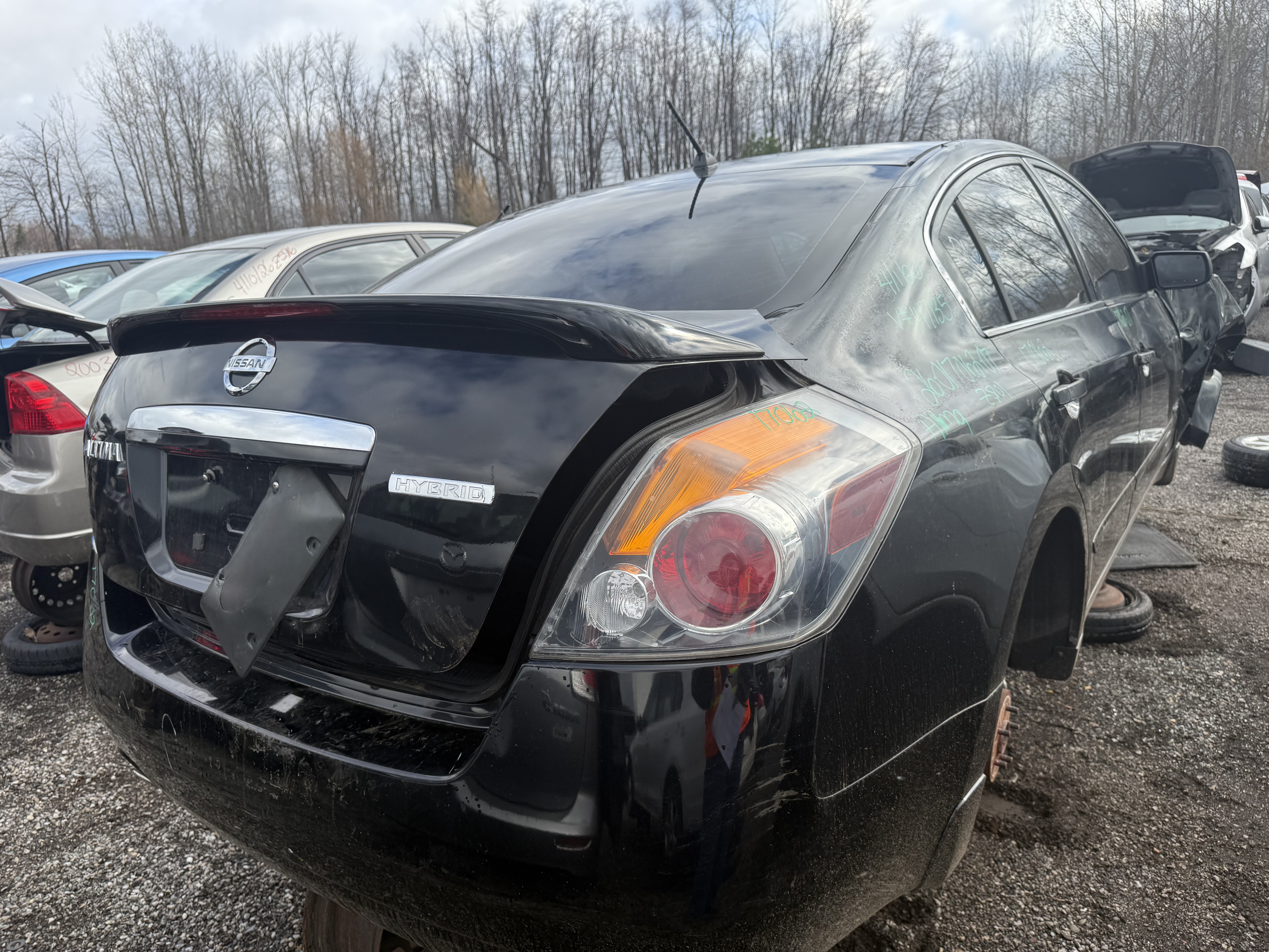 NISSAN ALTIMA 2007