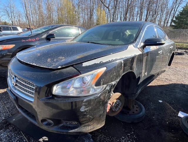 NISSAN MAXIMA 2010