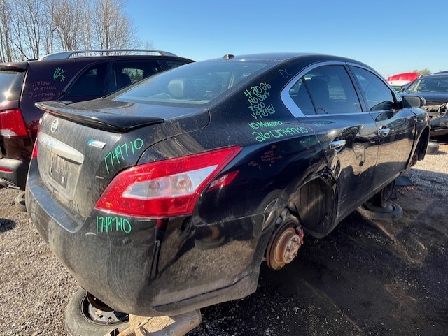 NISSAN MAXIMA 2010