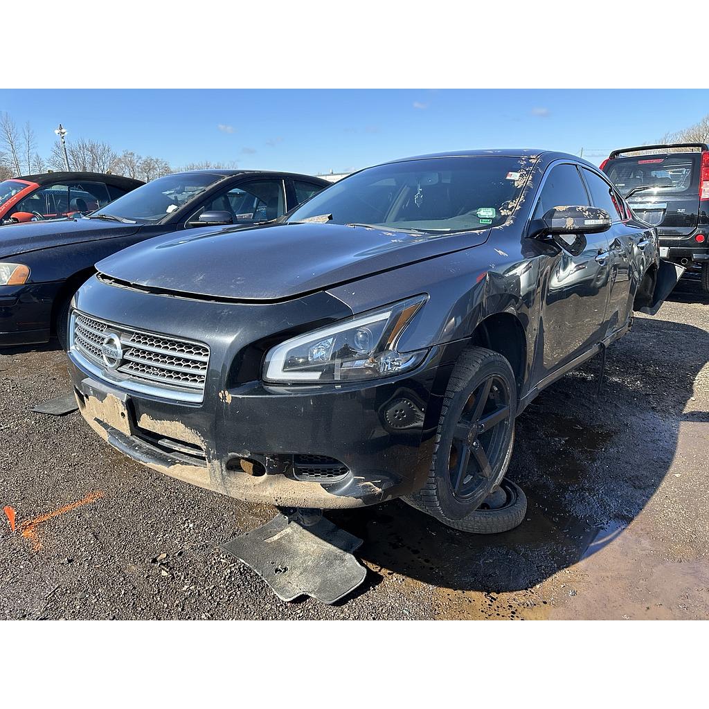 NISSAN MAXIMA 2011