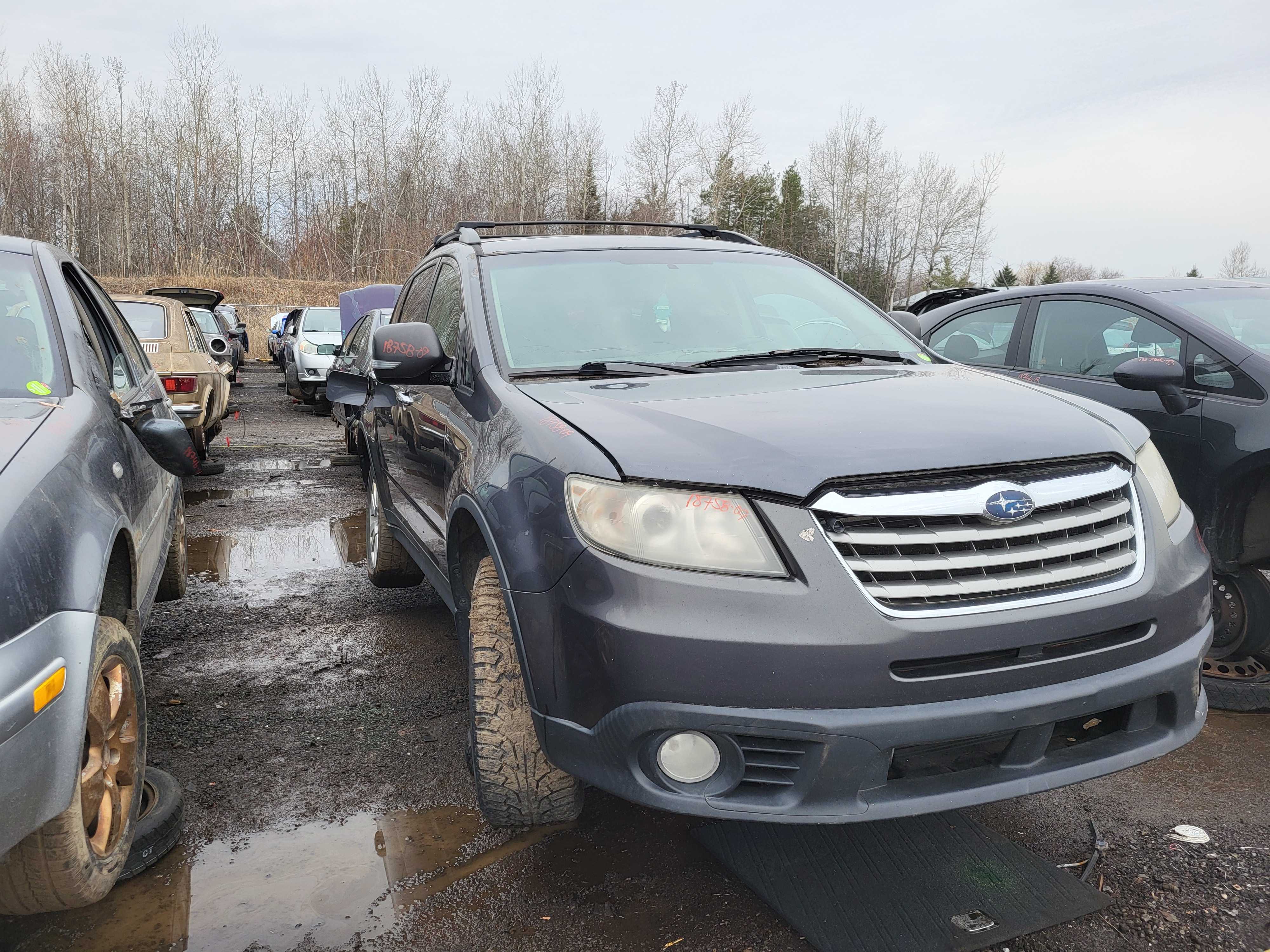 SUBARU TRIBECA 2009