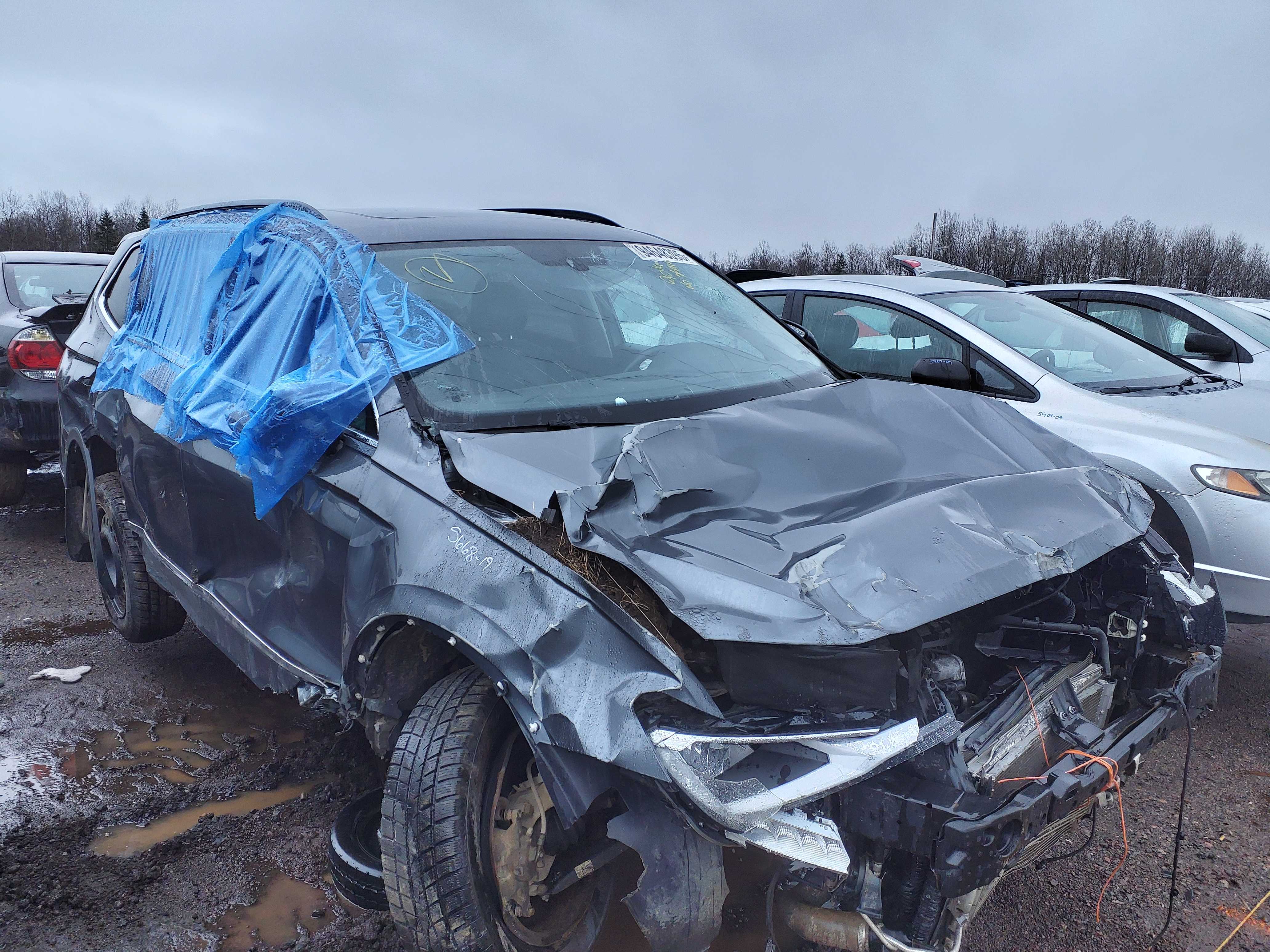 VOLKSWAGEN TIGUAN 2019