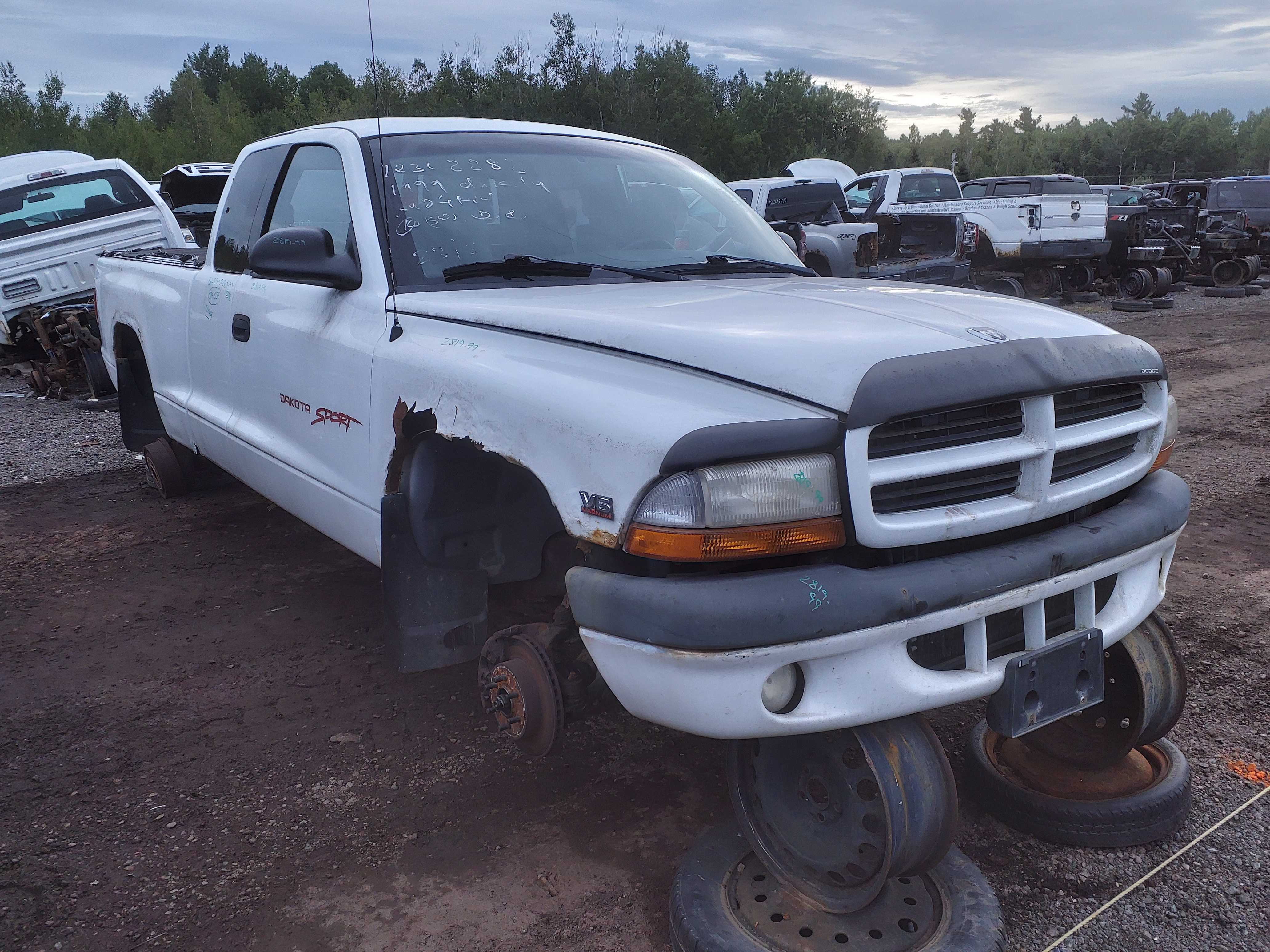 DODGE DAKOTA 1999