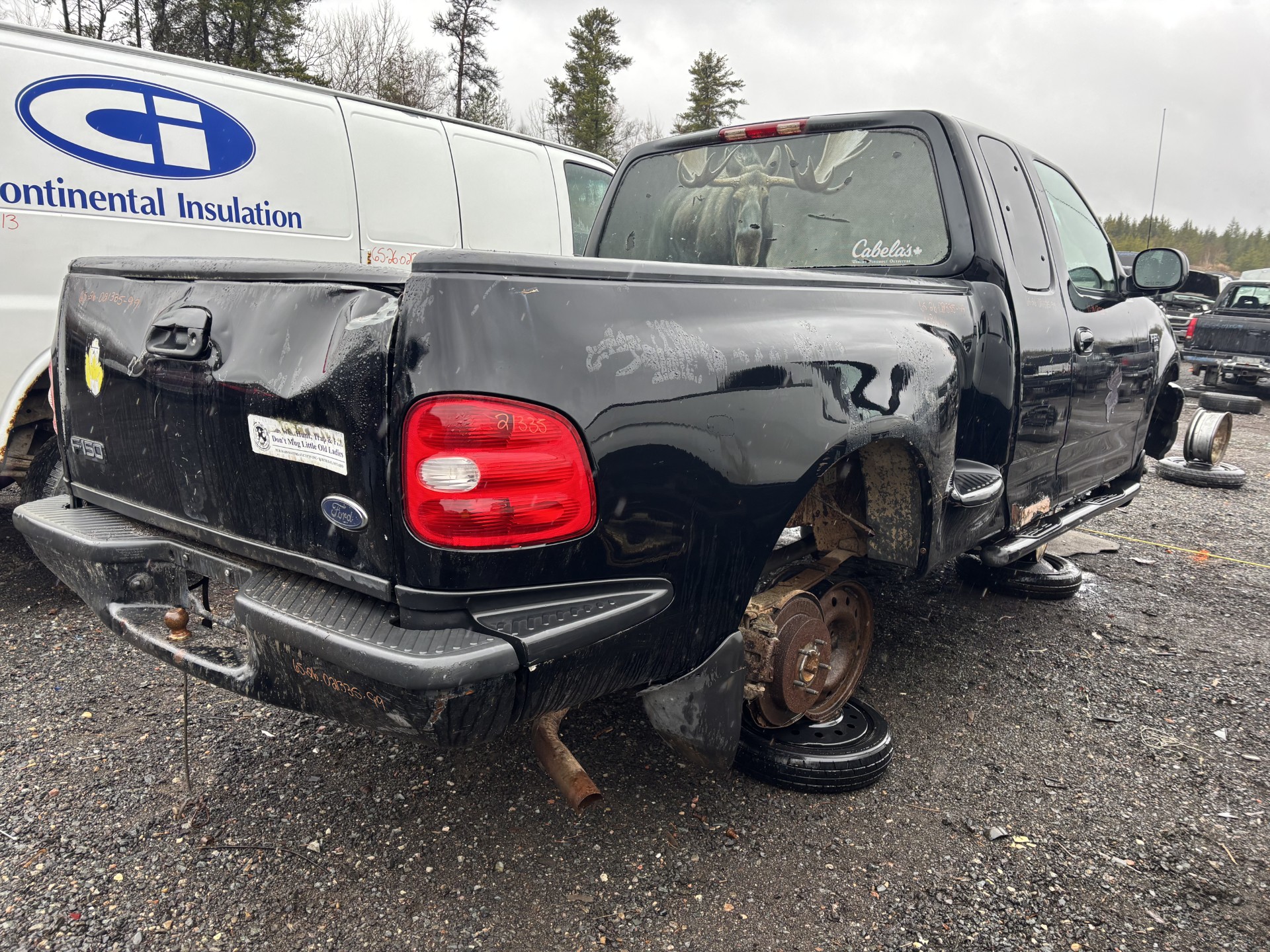 FORD F-150 1999