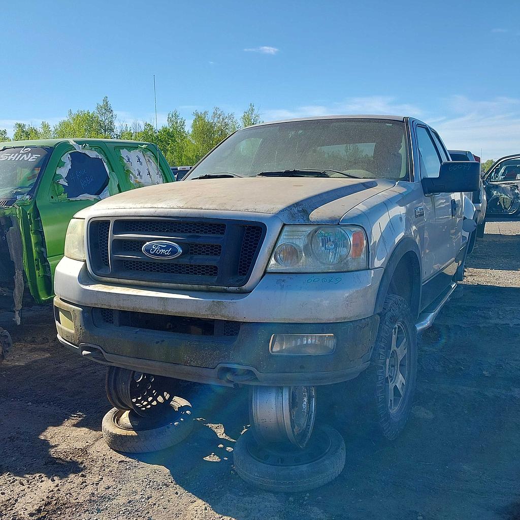 FORD F-150 2004